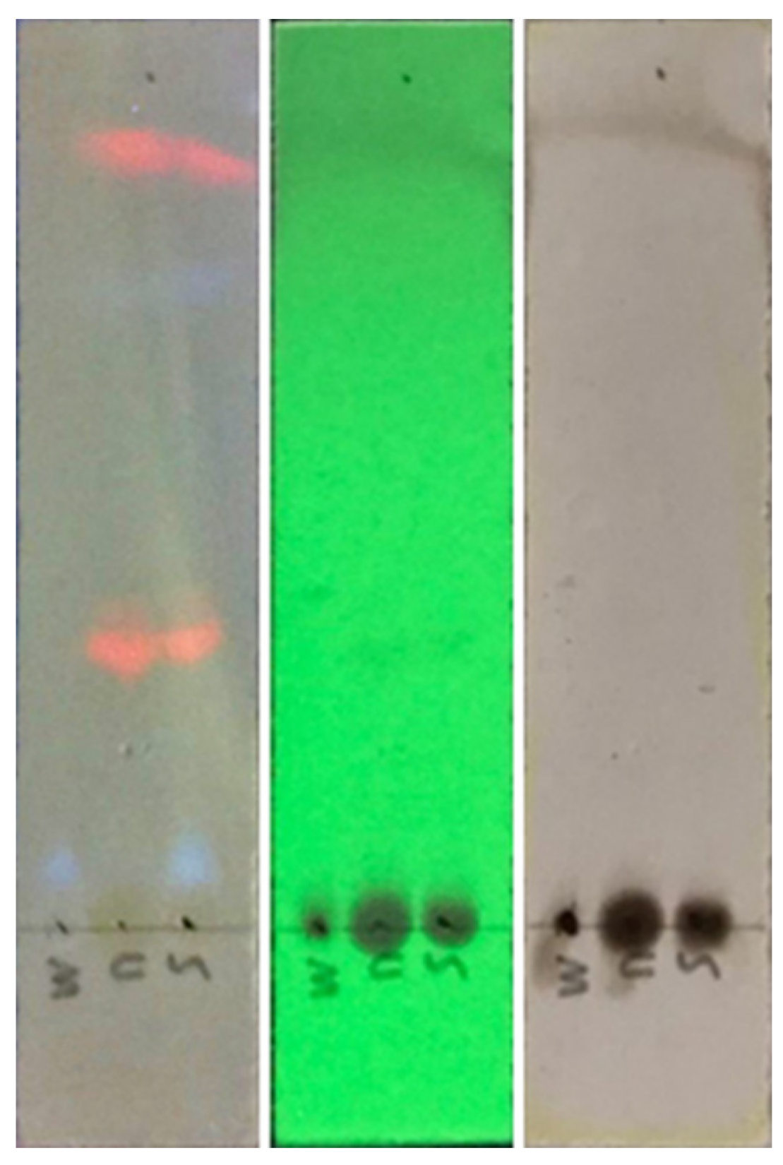 Preprints 72809 g004