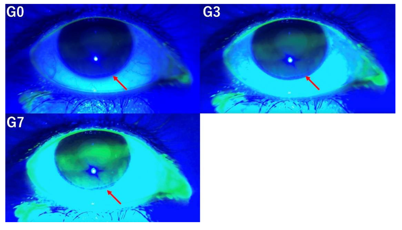 Preprints 120536 g002