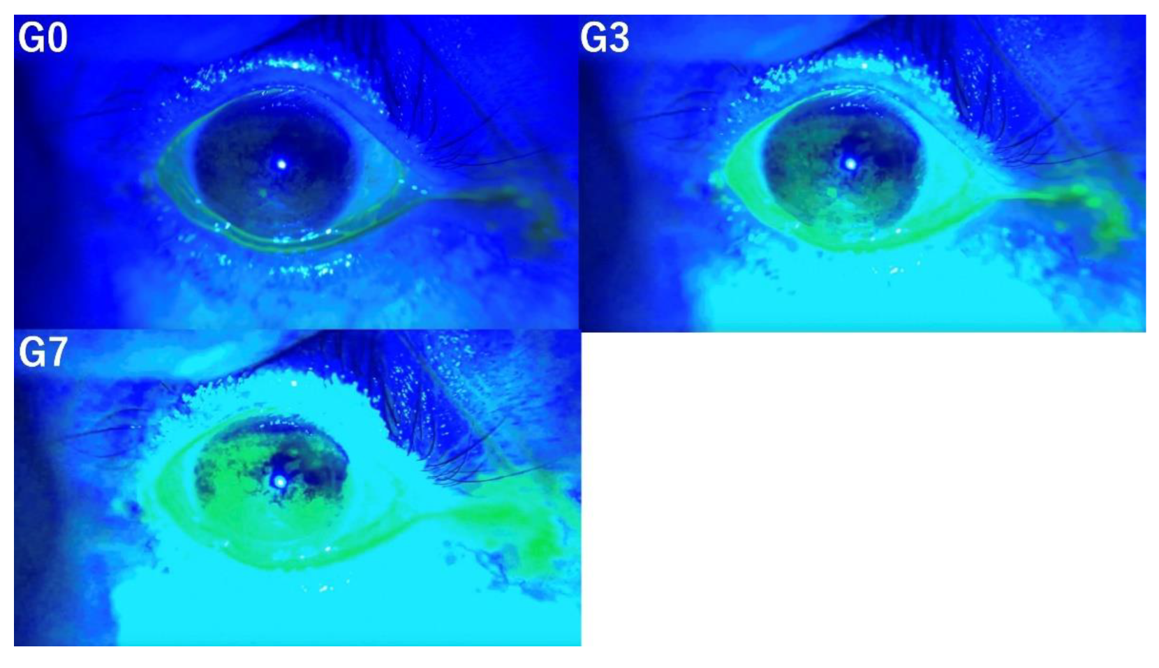 Preprints 120536 g003