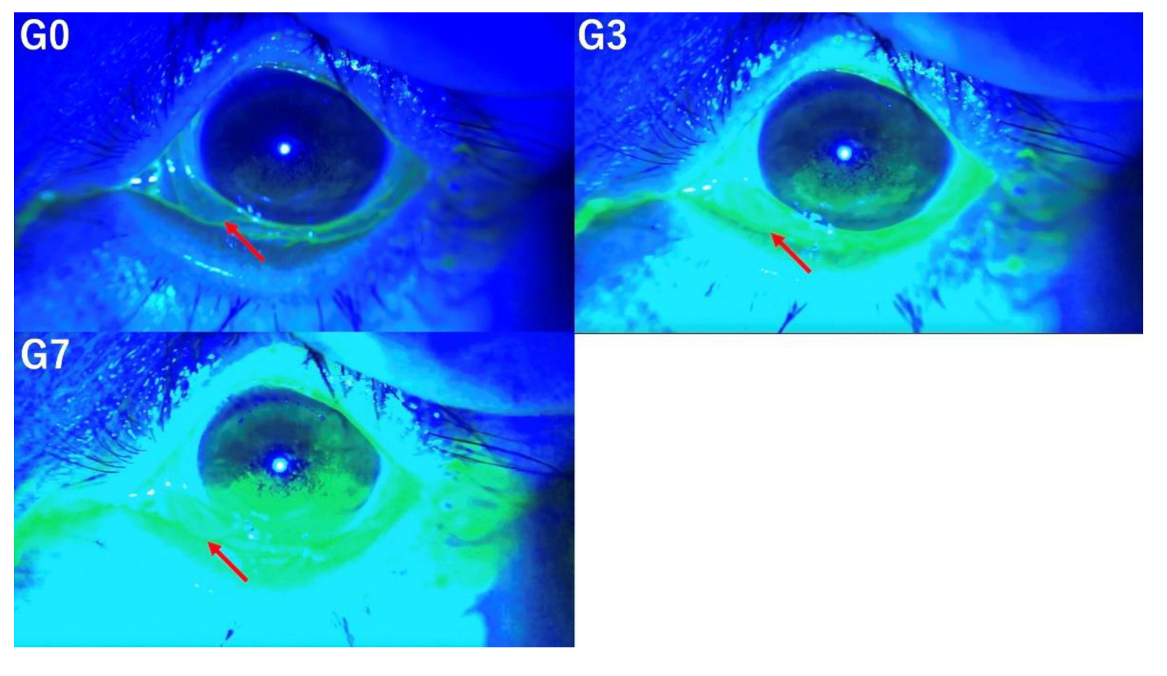 Preprints 120536 g004