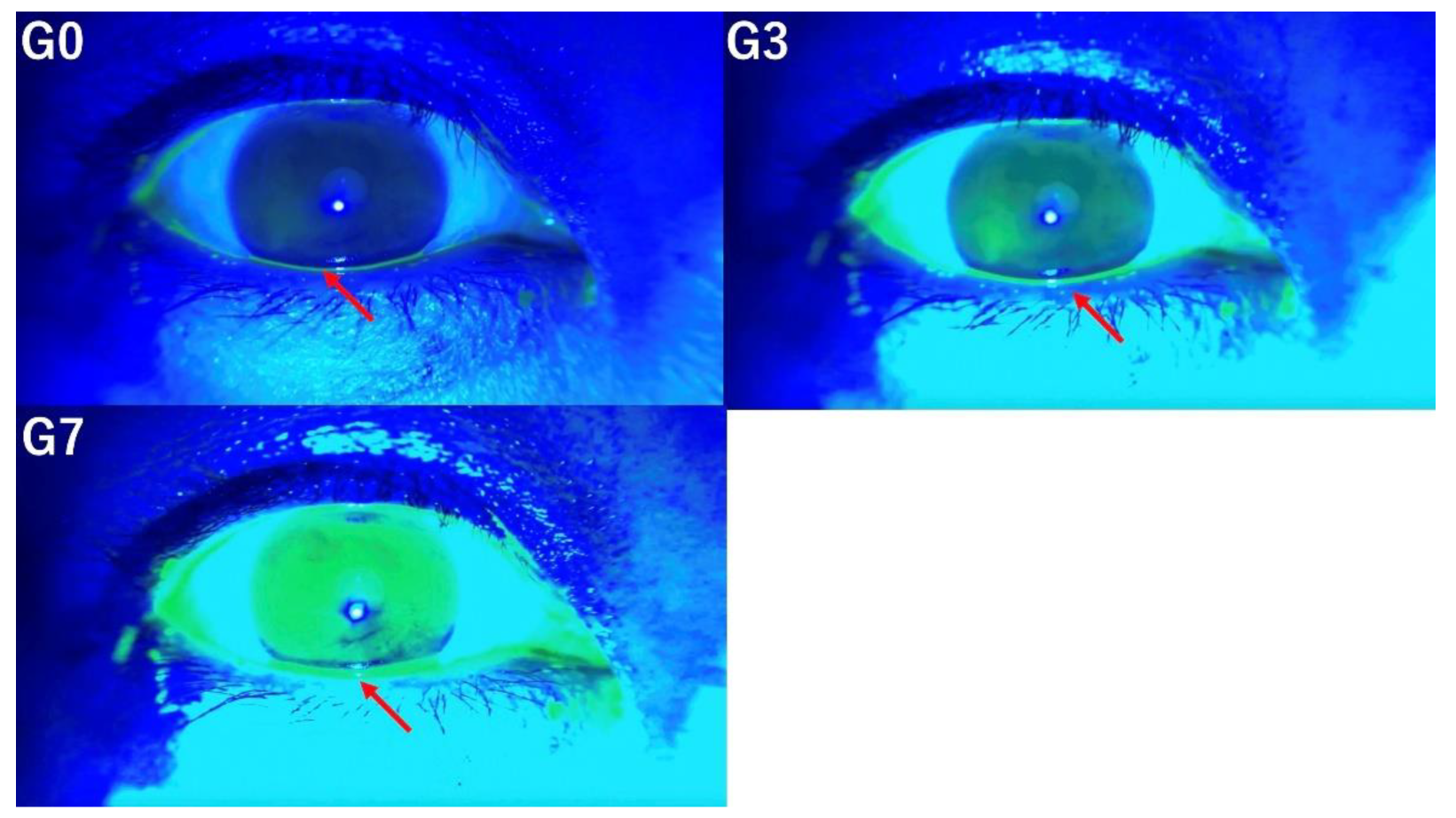 Preprints 120536 g005