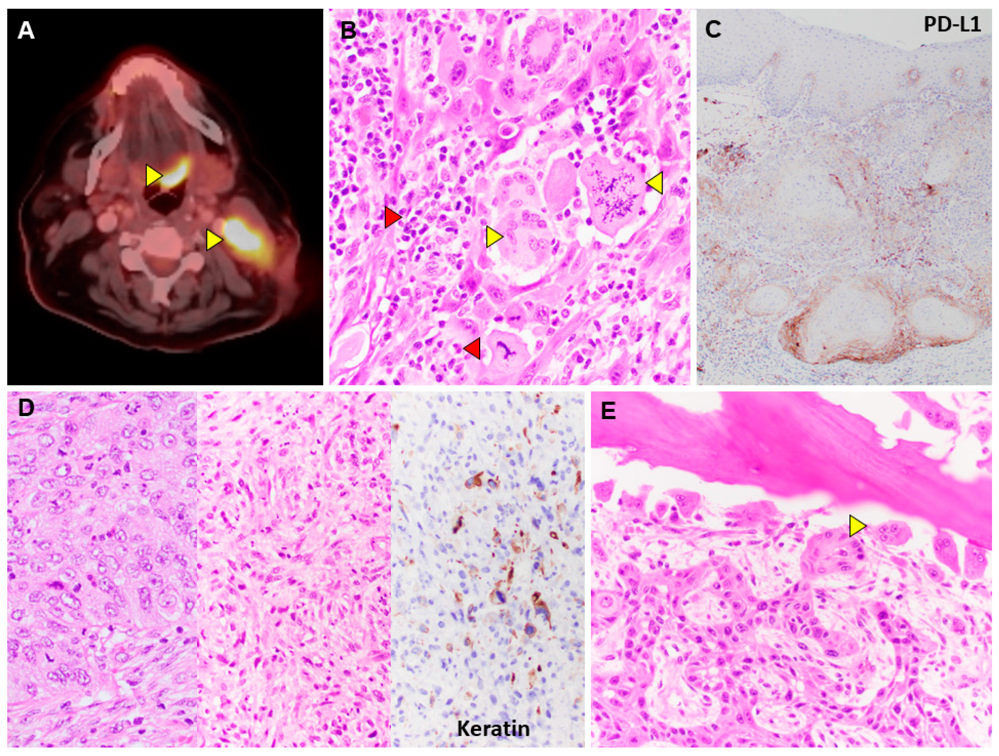 Preprints 89420 g001