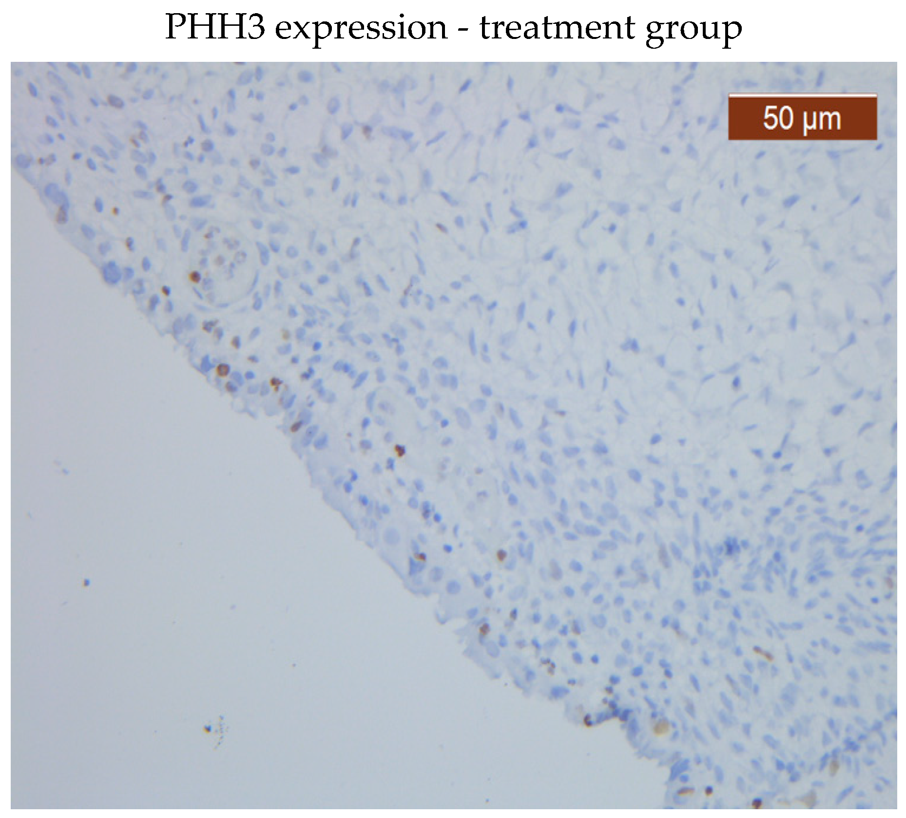 Preprints 75702 g003