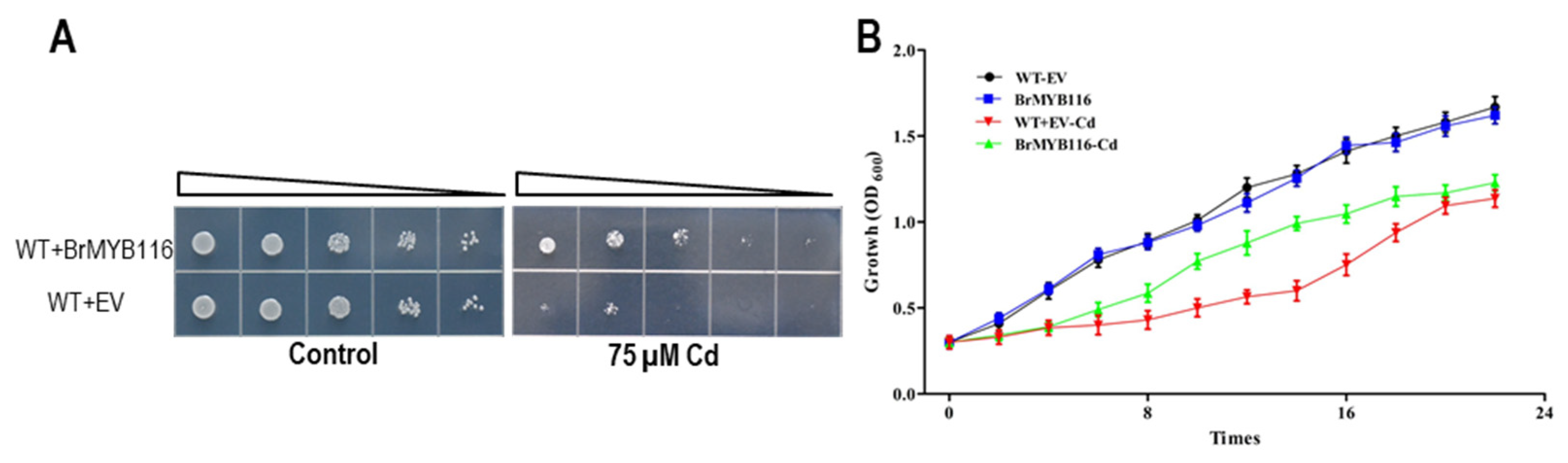 Preprints 82637 g001