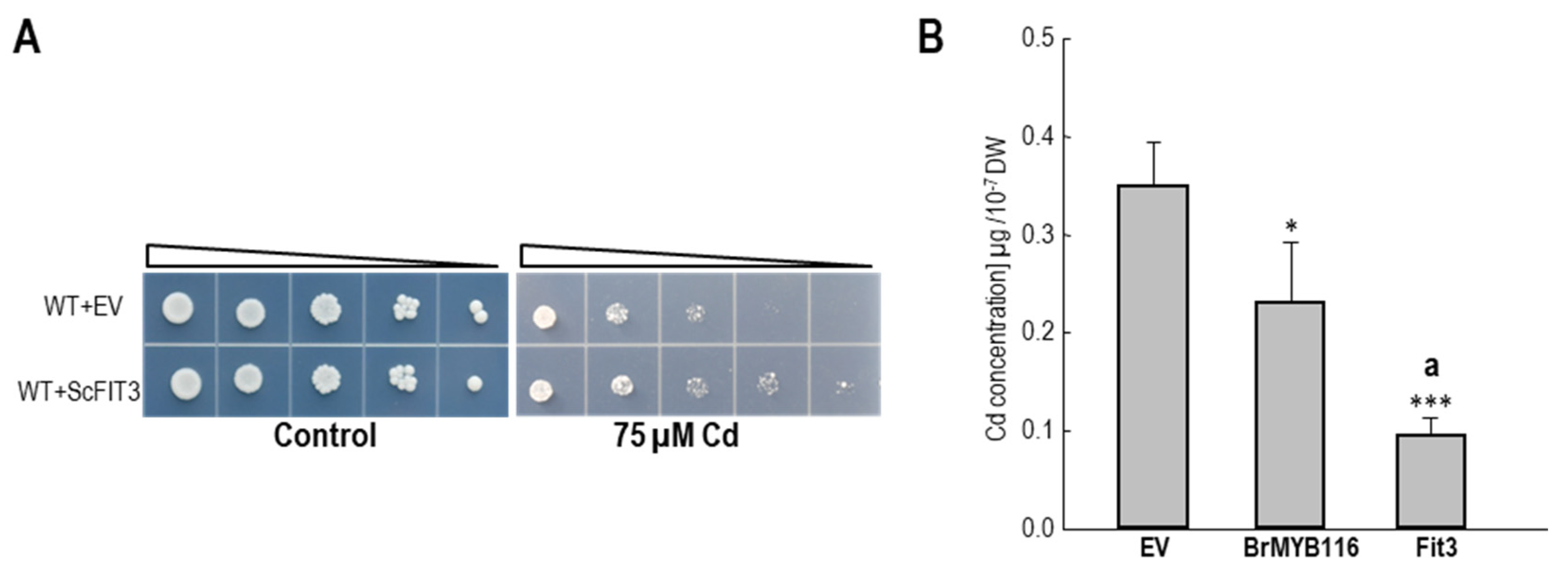 Preprints 82637 g005