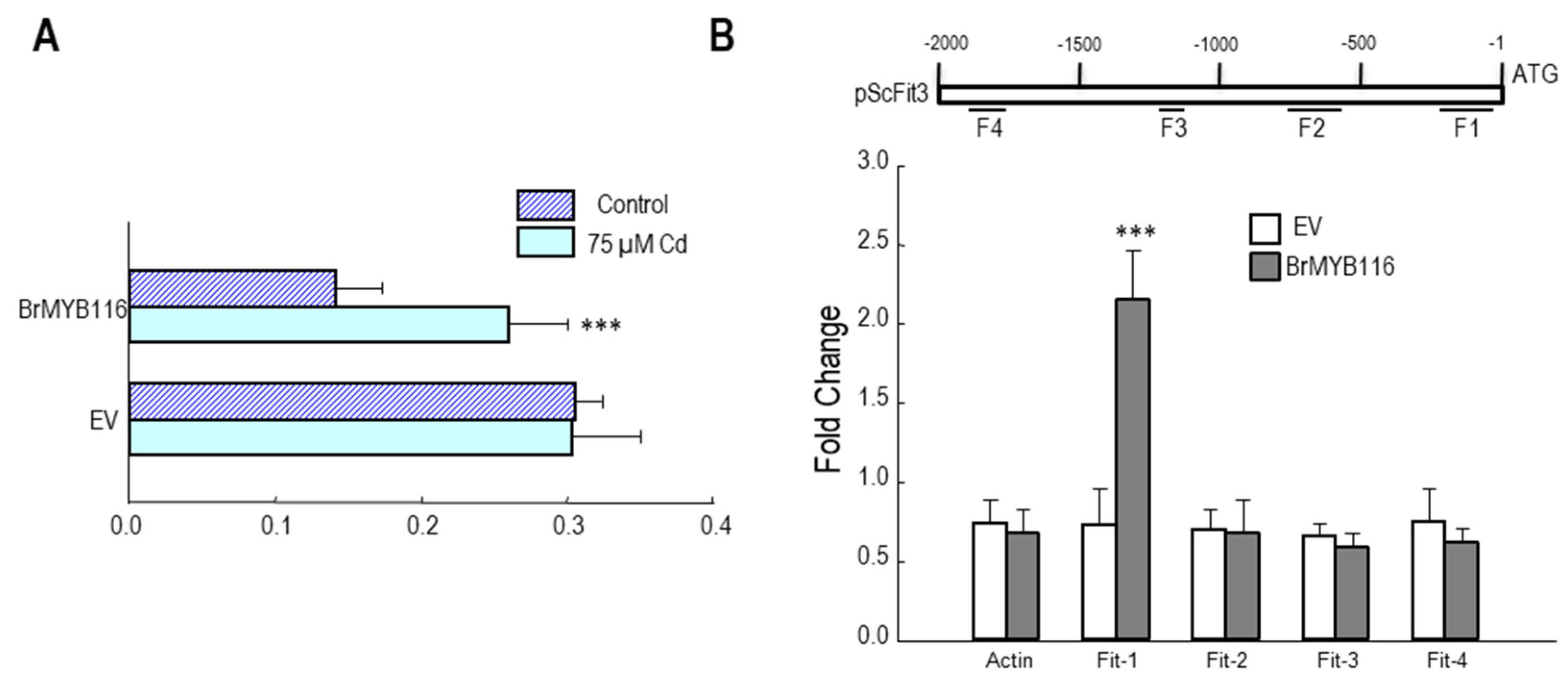 Preprints 82637 g007