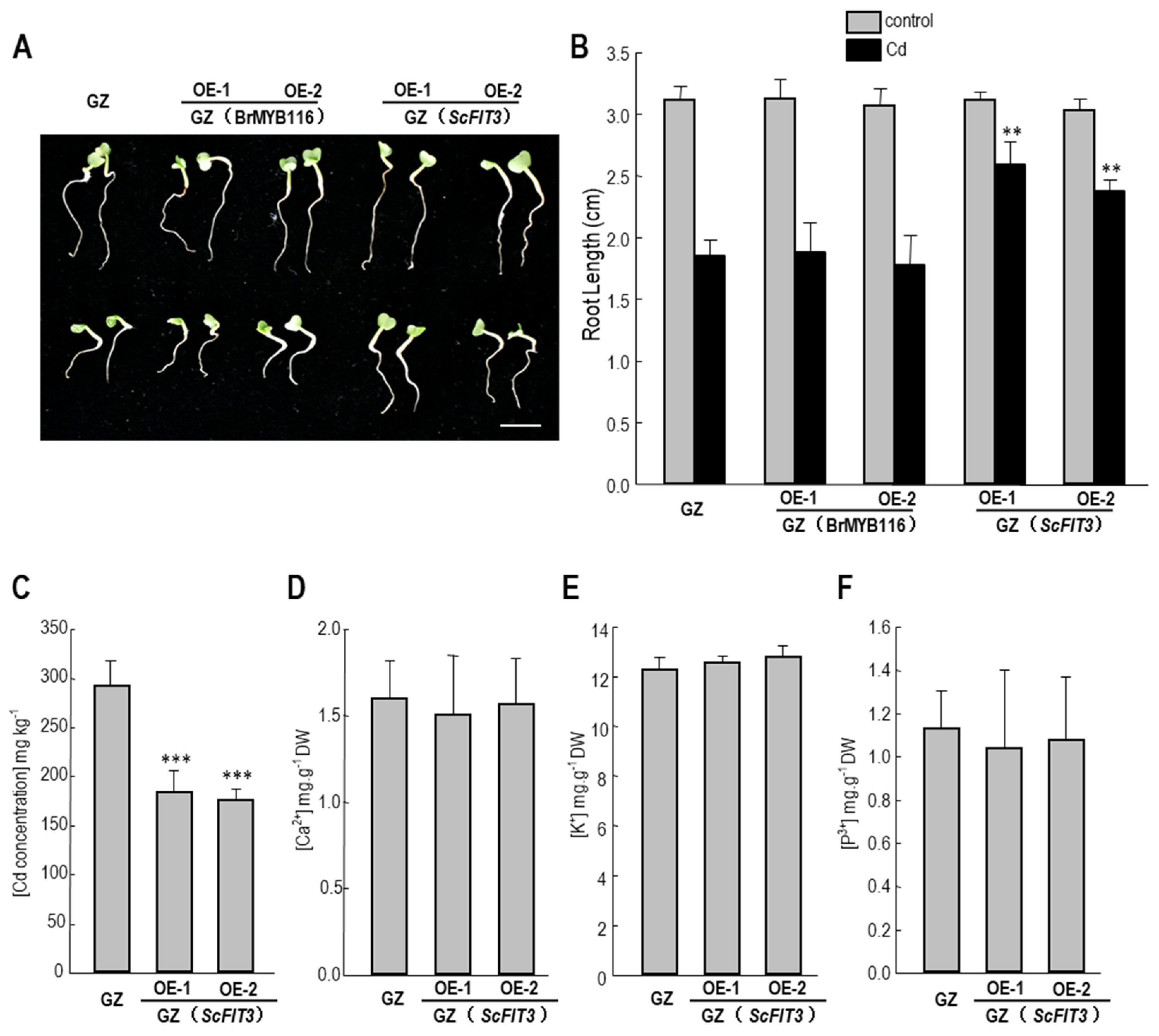 Preprints 82637 g008