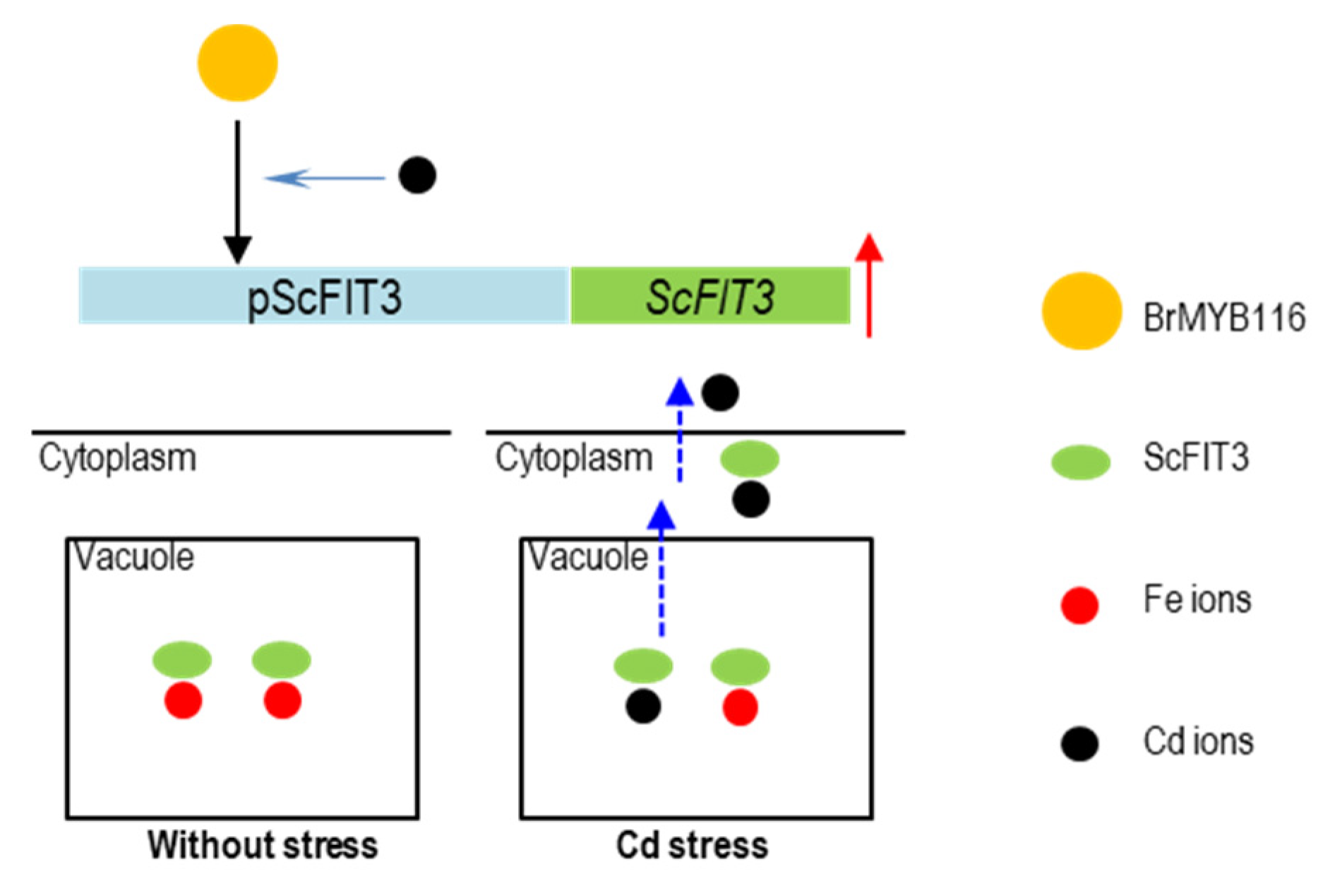 Preprints 82637 g009