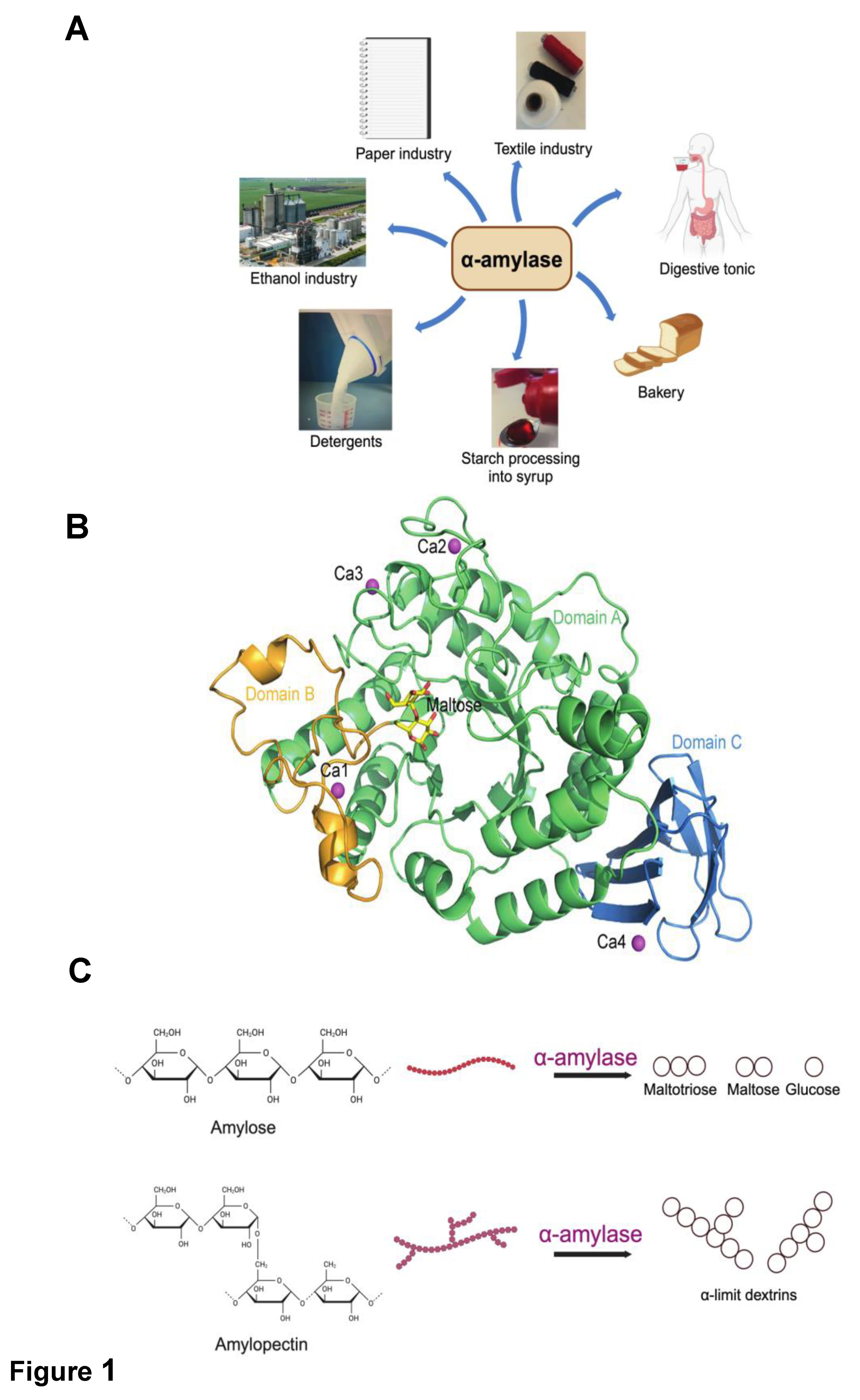 Preprints 104554 g001