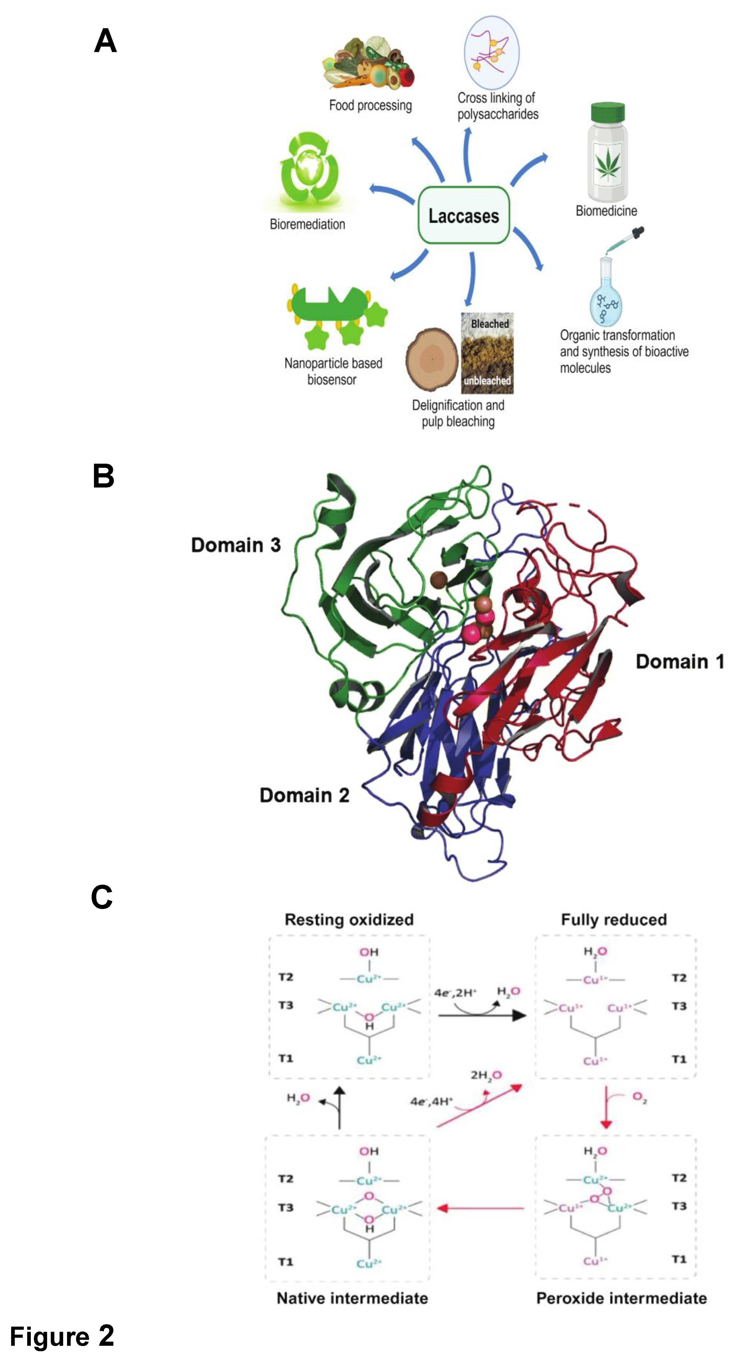 Preprints 104554 g002