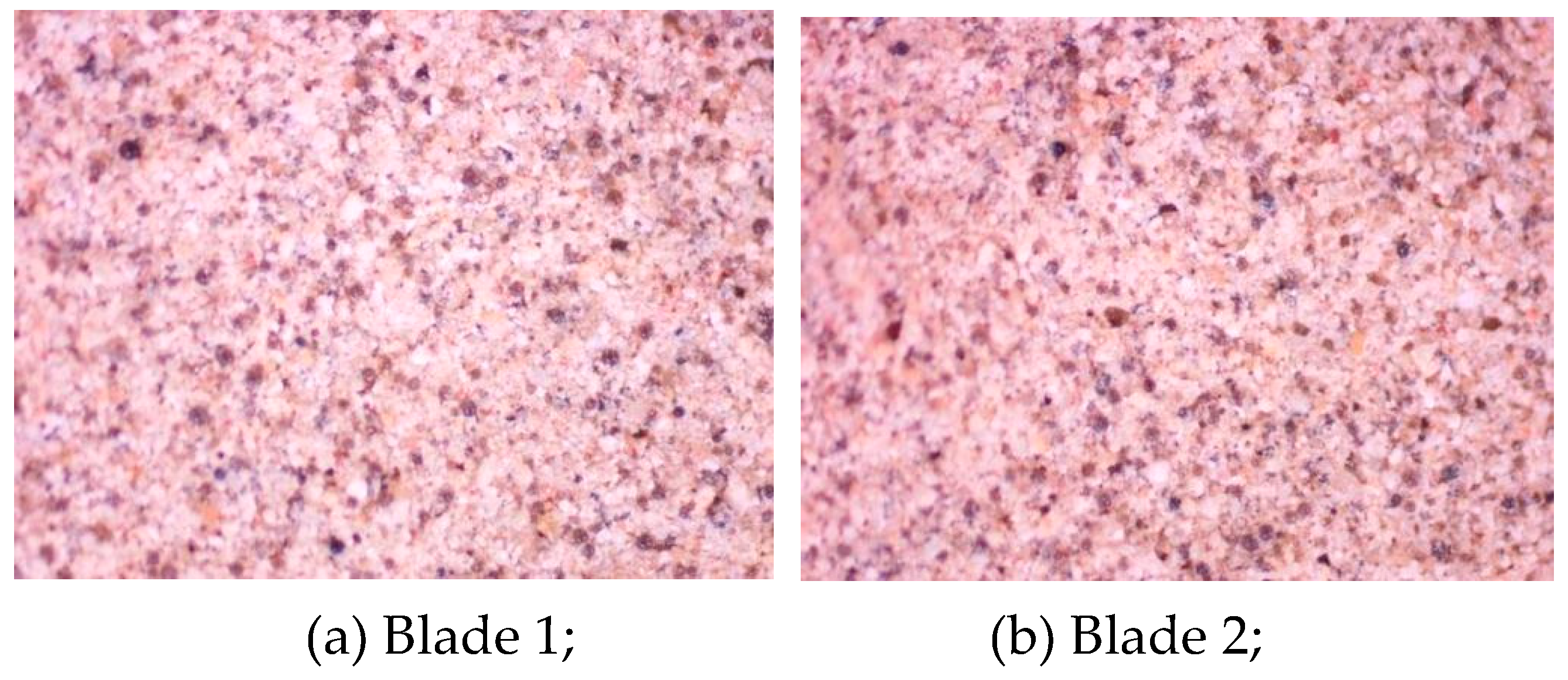 Preprints 113474 g009a