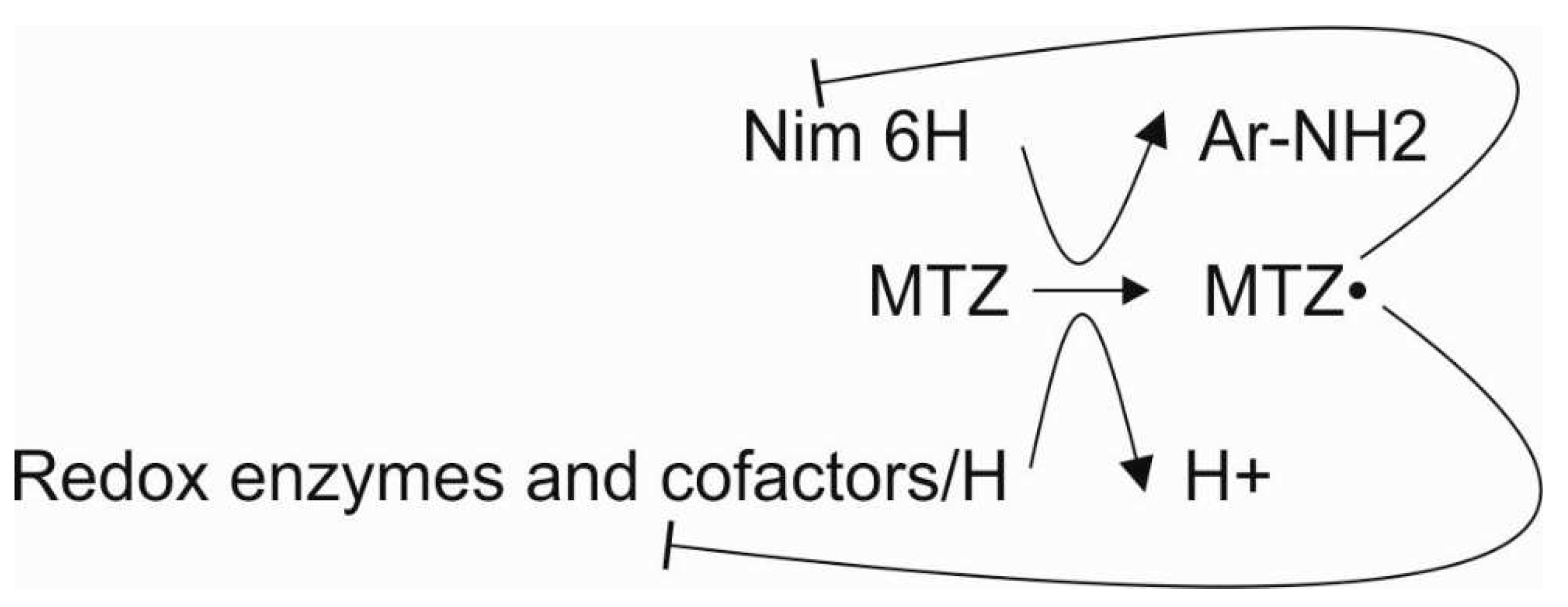 Preprints 96618 g001