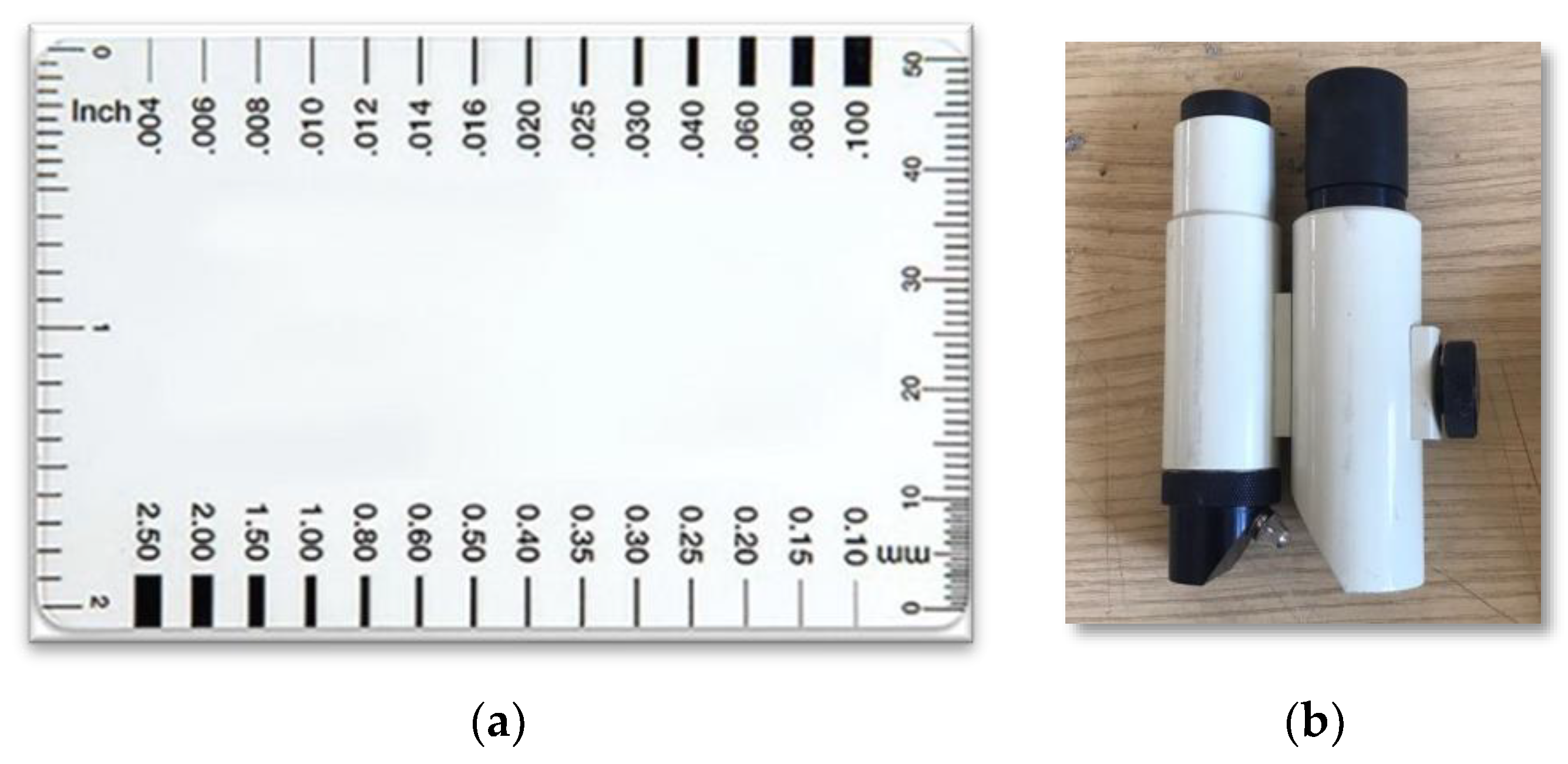 Preprints 138204 g001