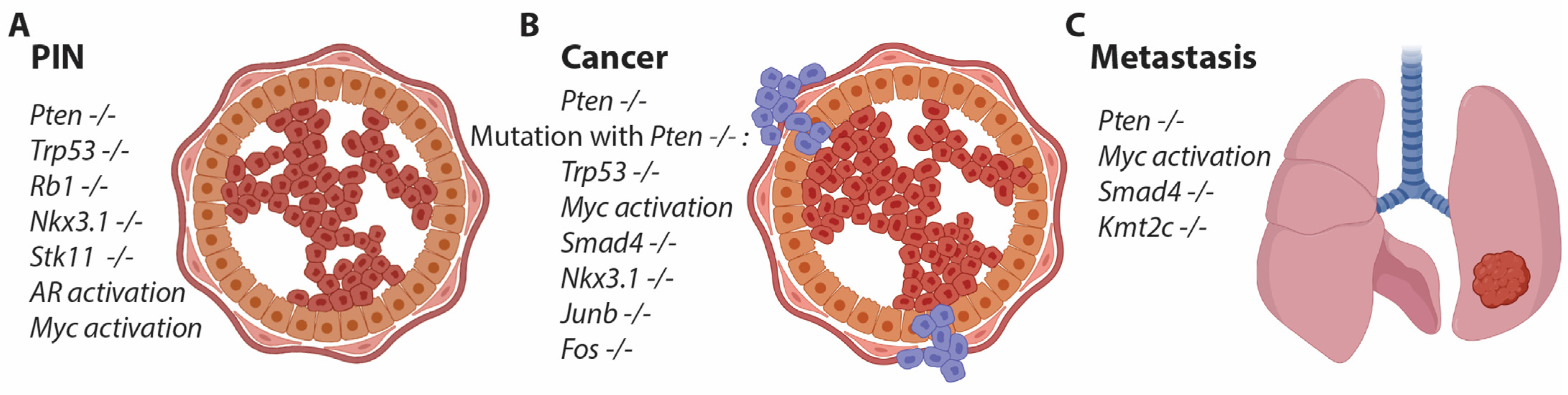 Preprints 80069 g001