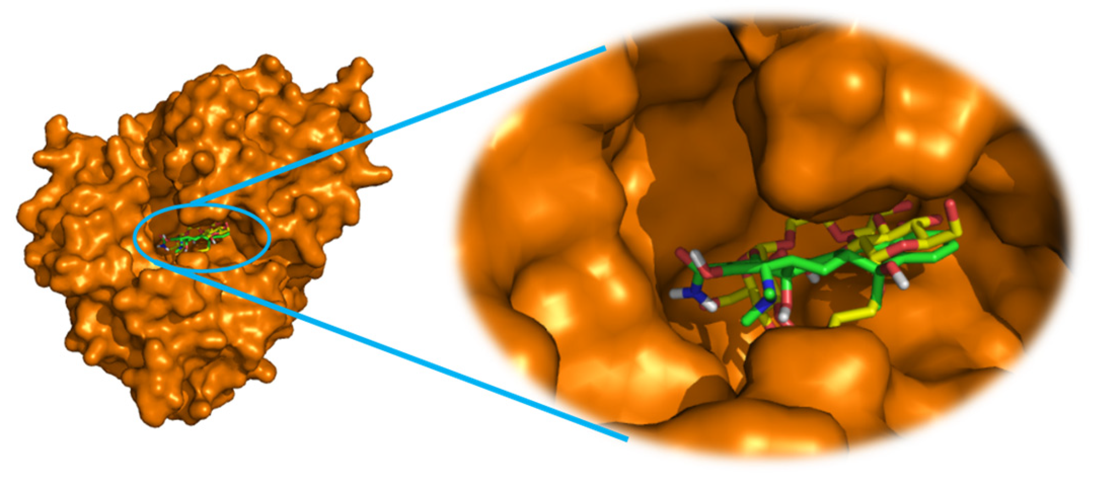 Preprints 74212 g002