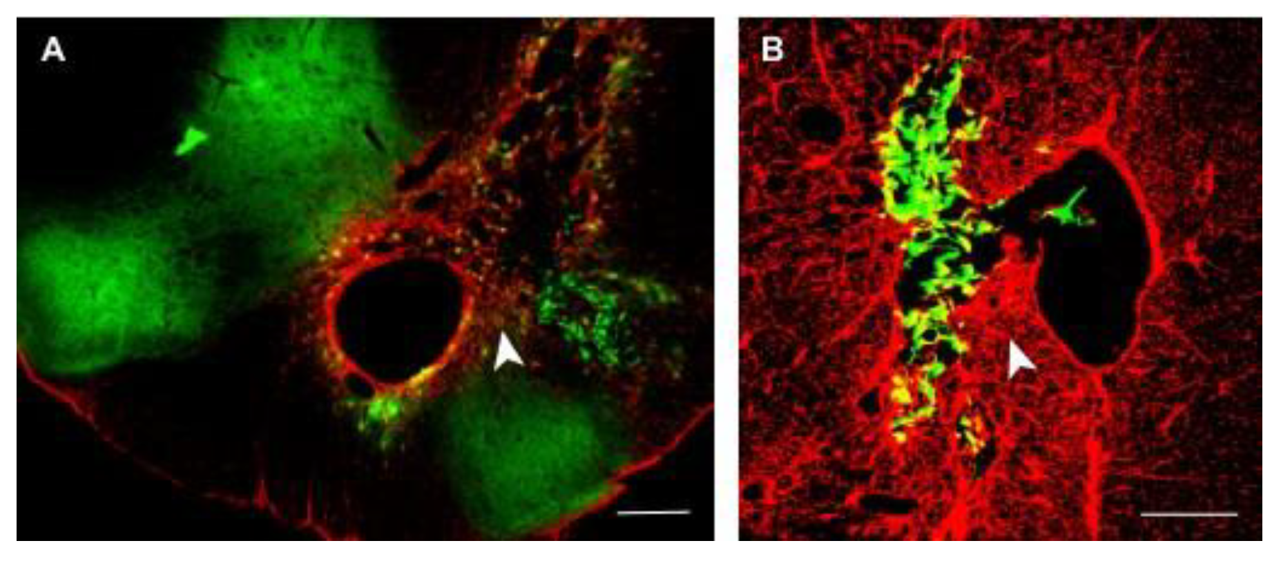 Preprints 66817 g002