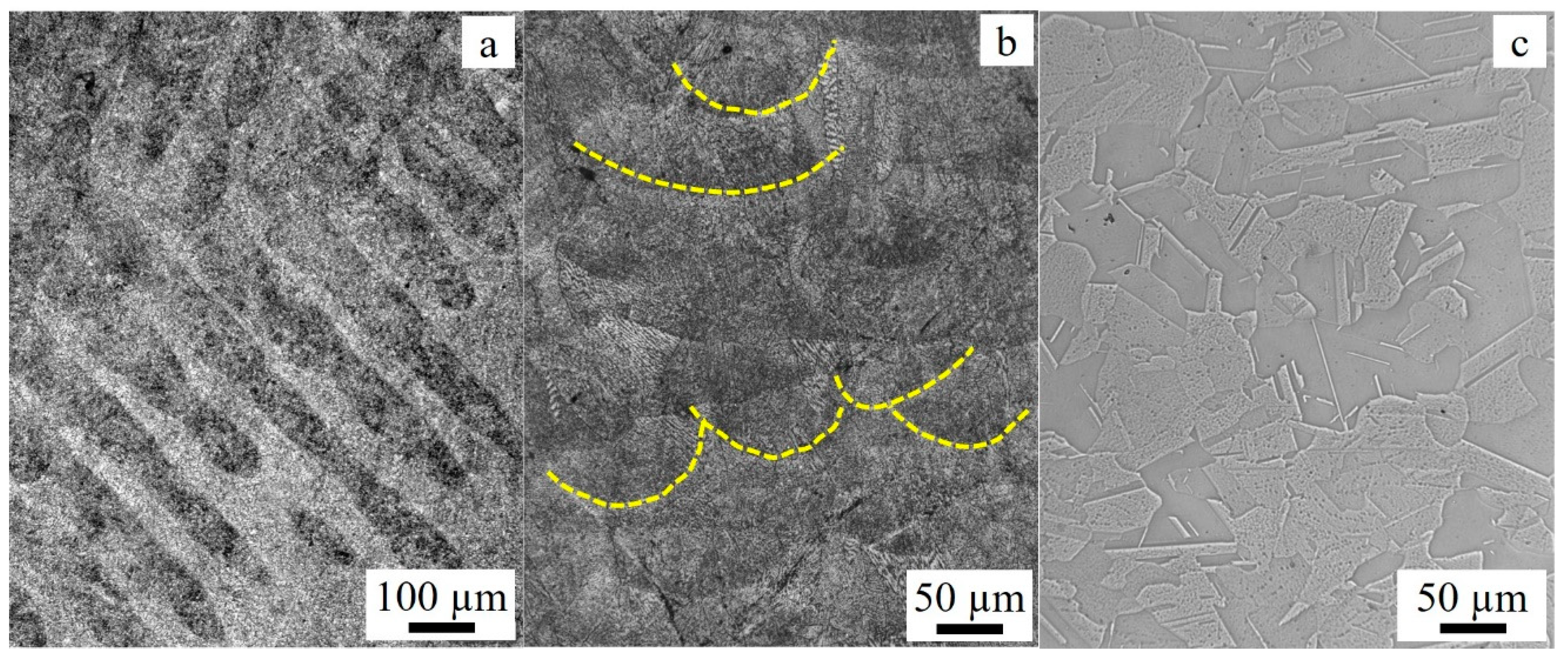 Preprints 106102 g002