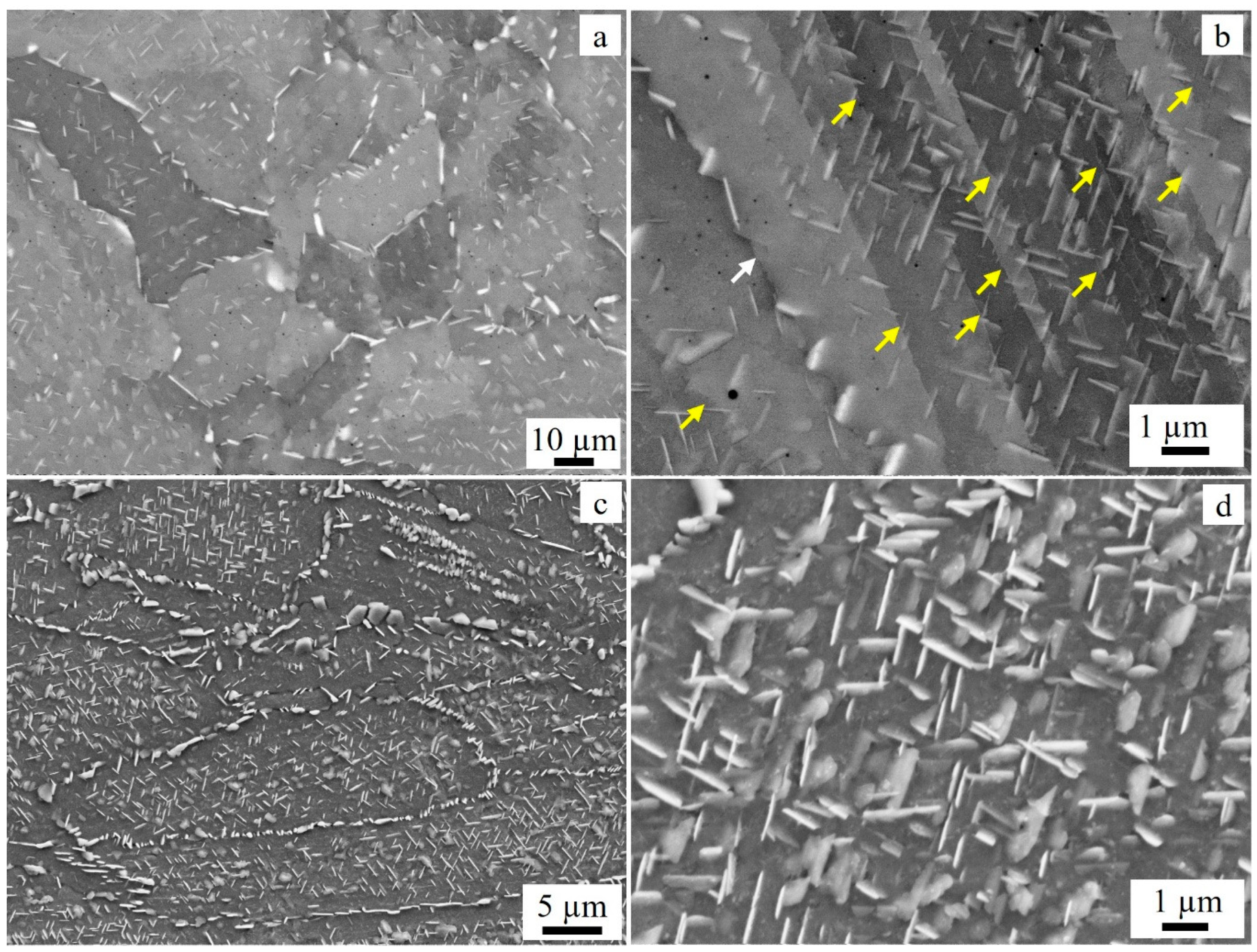 Preprints 106102 g003