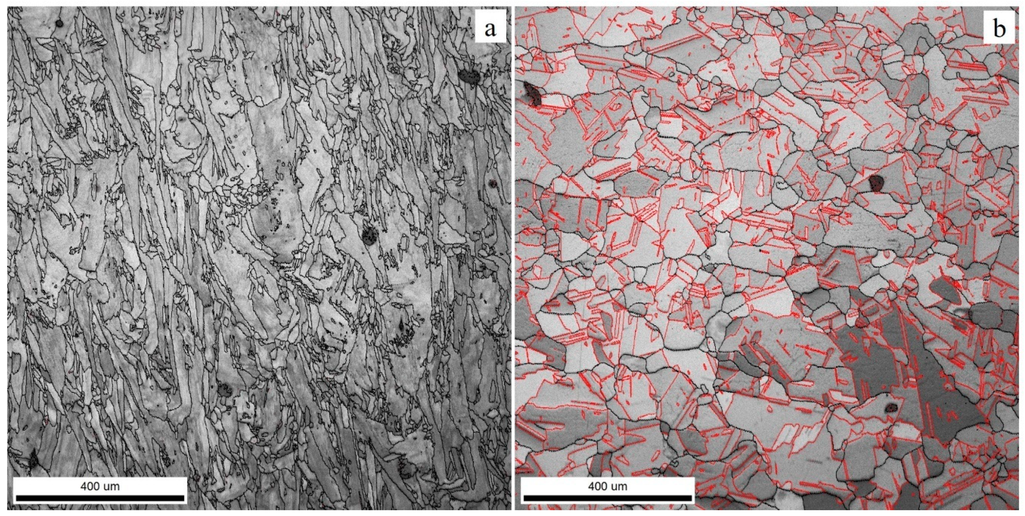 Preprints 106102 g006