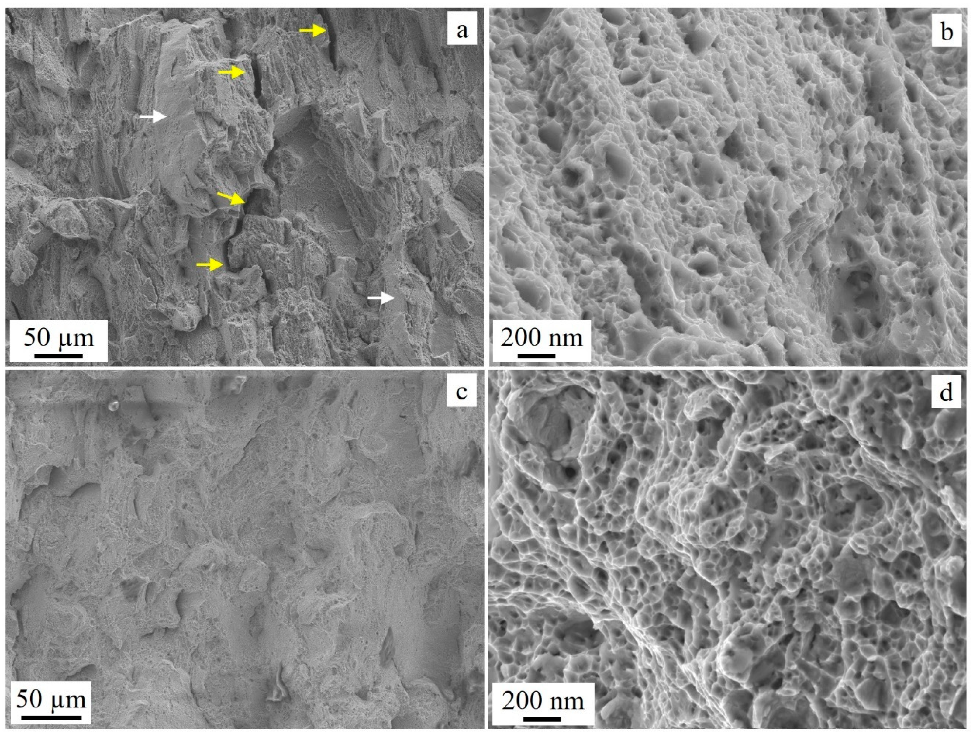 Preprints 106102 g013