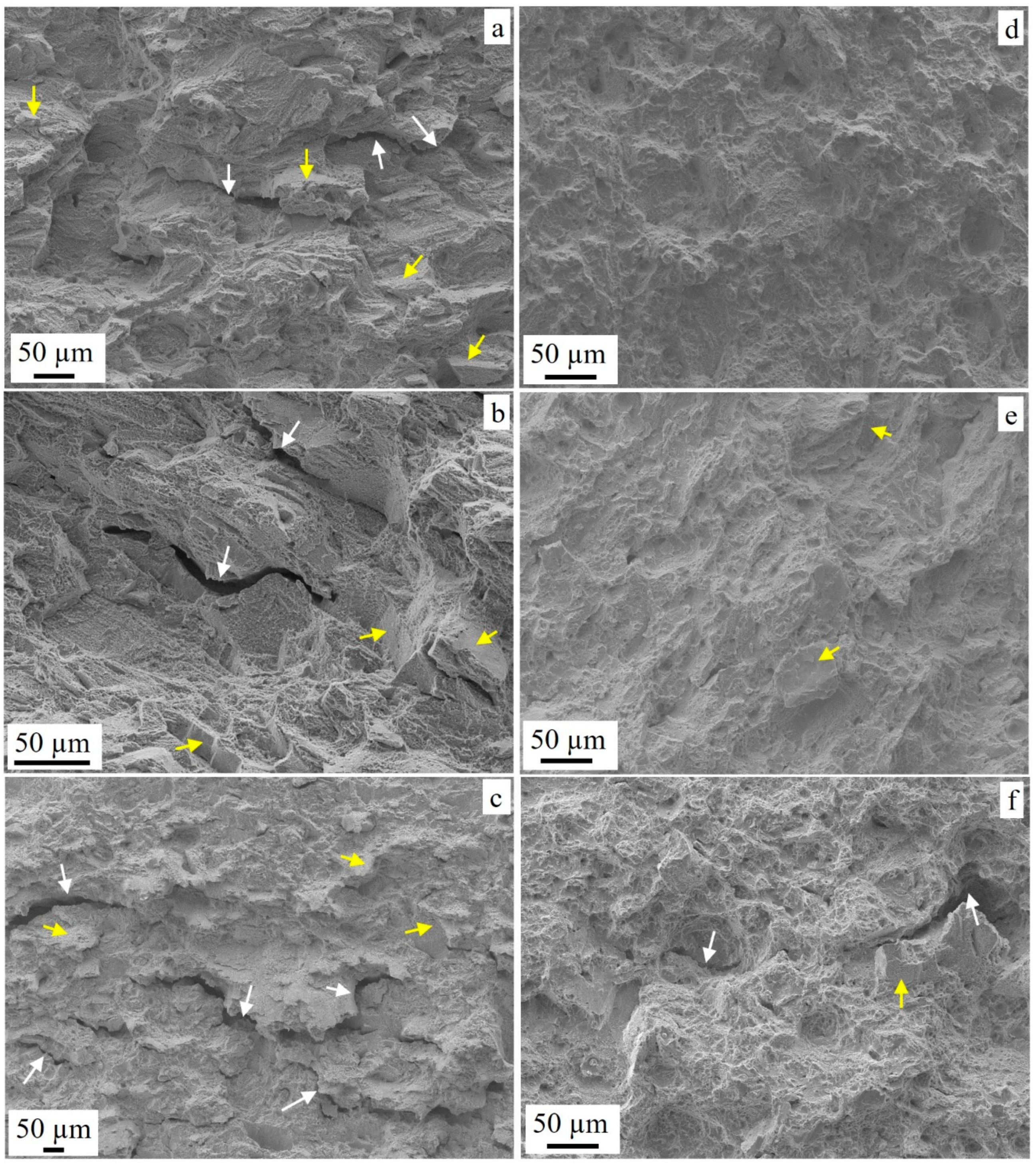 Preprints 106102 g014