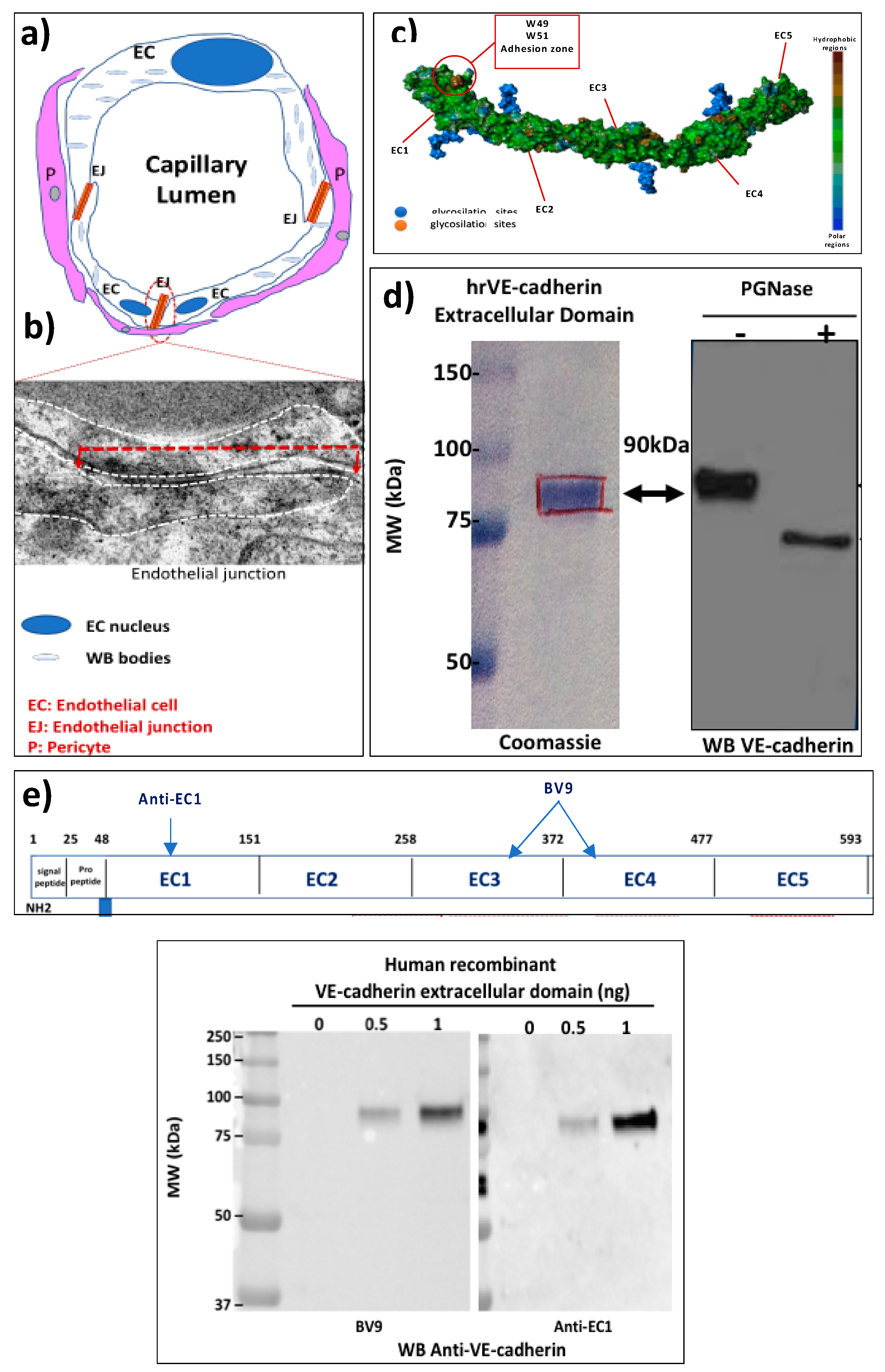 Preprints 76118 g001