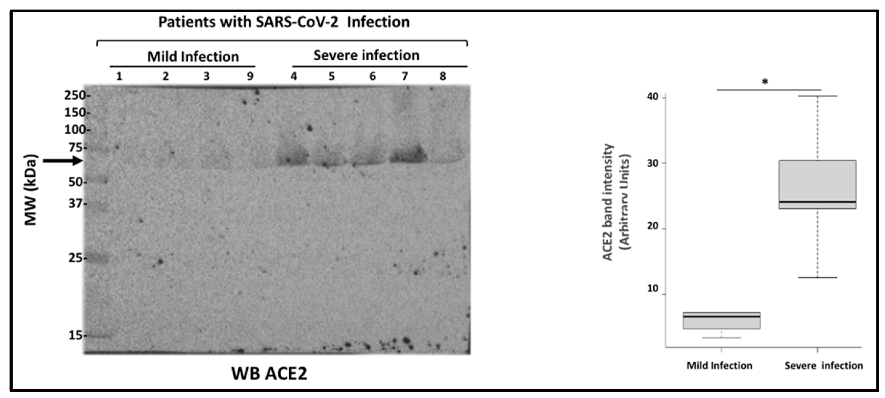 Preprints 76118 g003