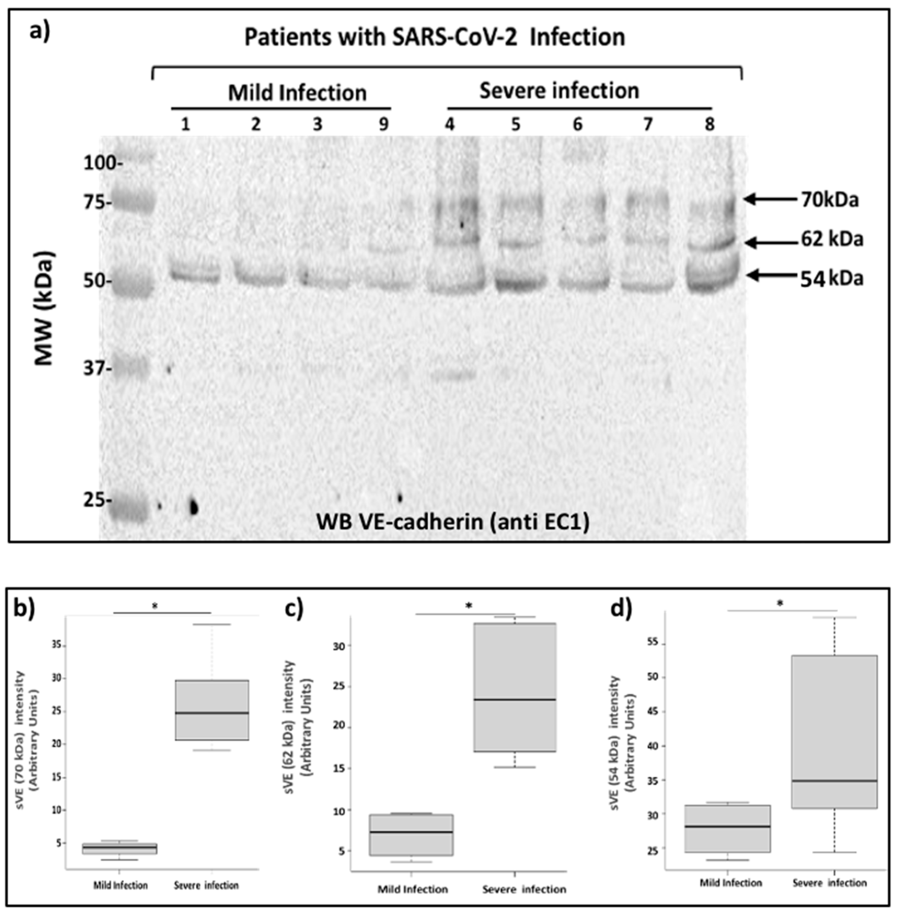 Preprints 76118 g004