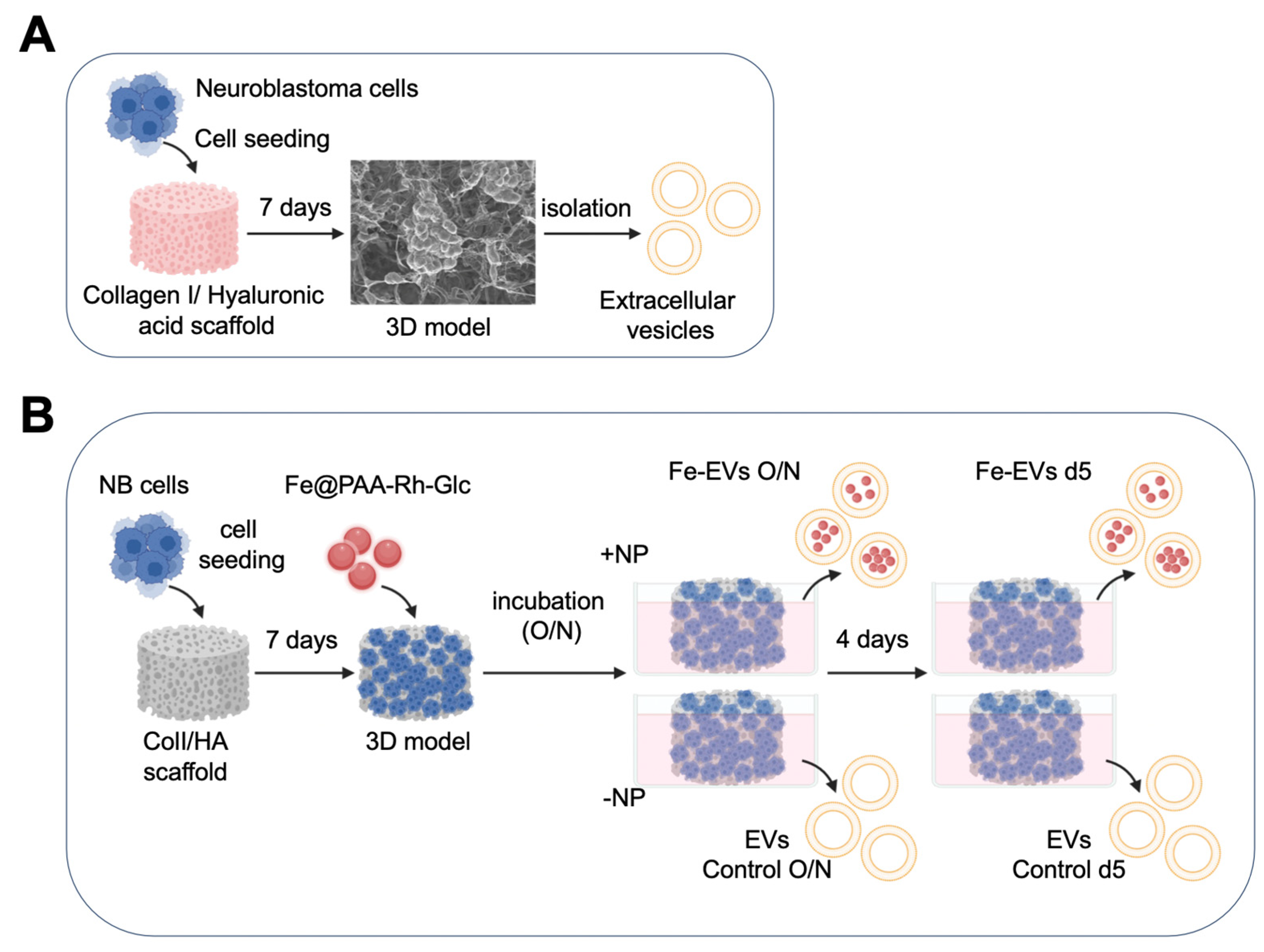 Preprints 90178 g001