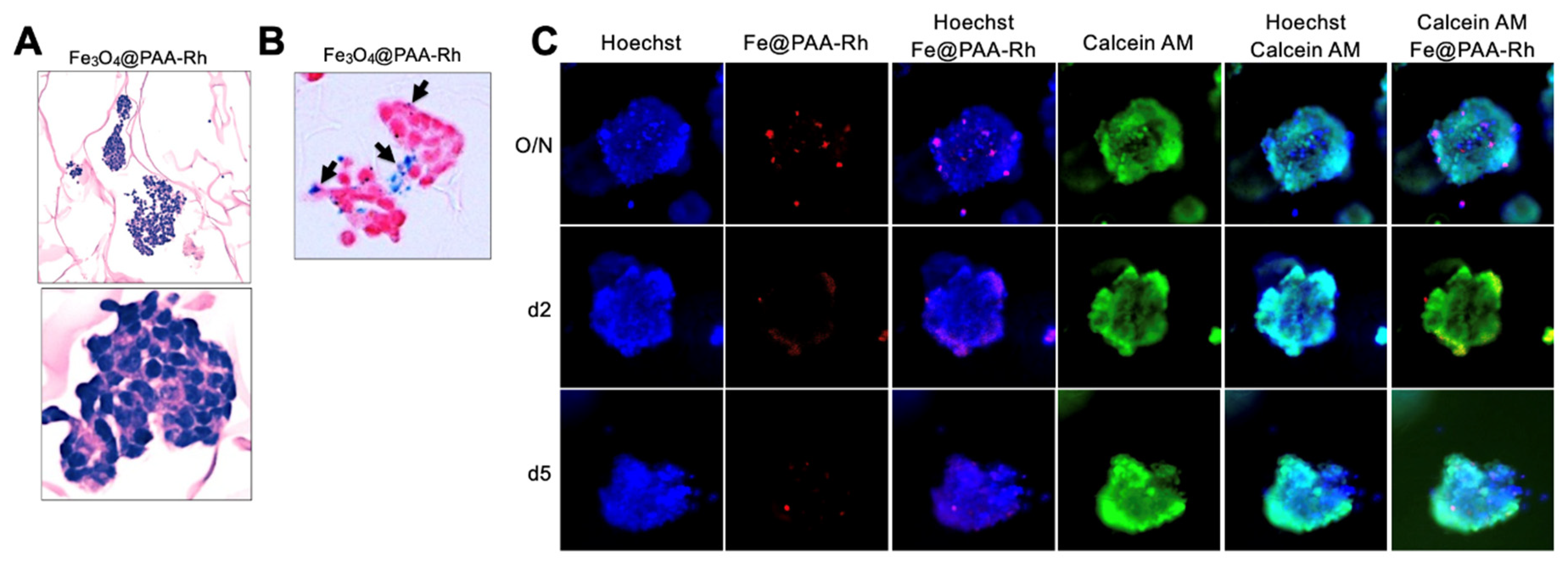 Preprints 90178 g004