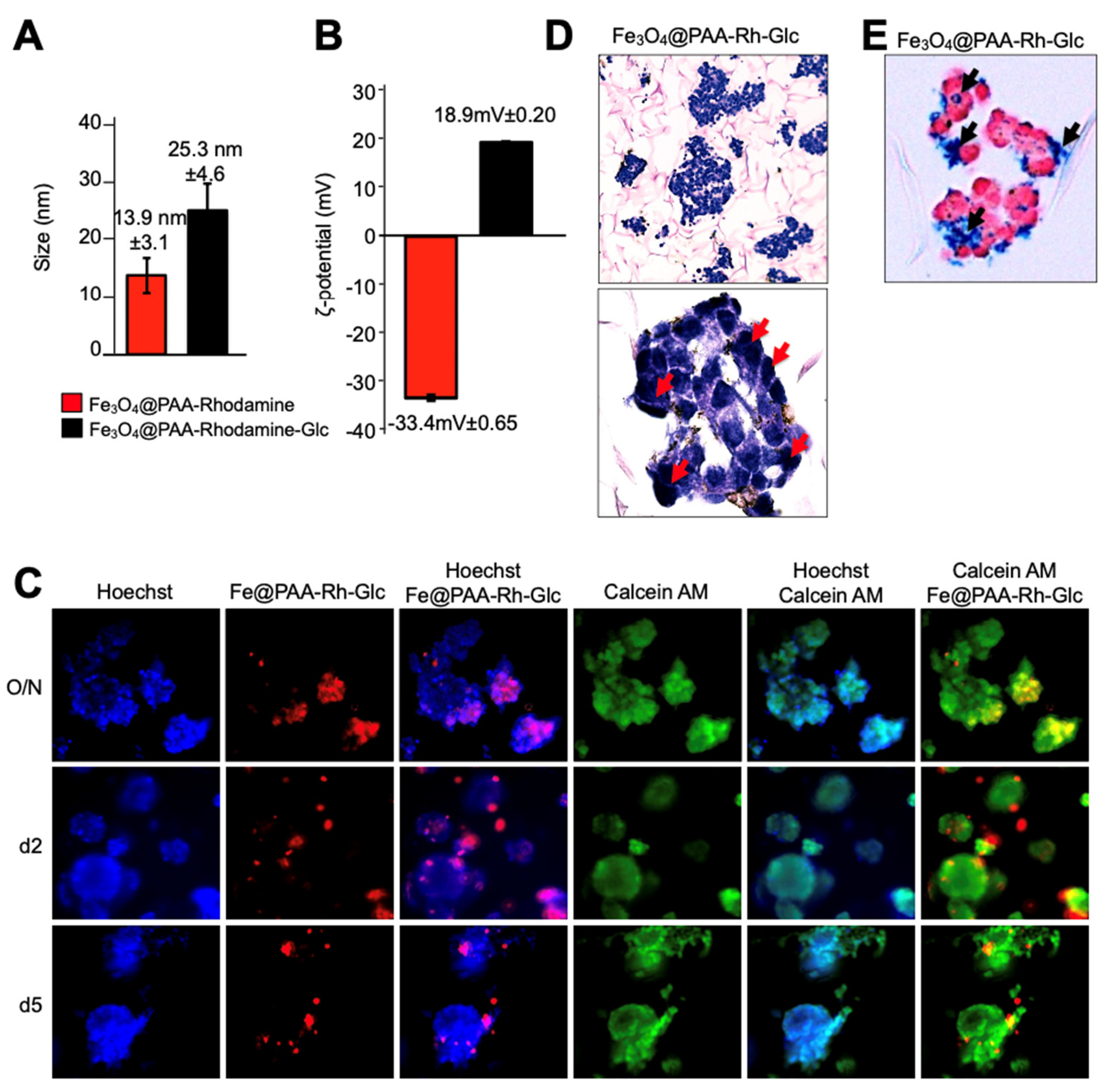 Preprints 90178 g005