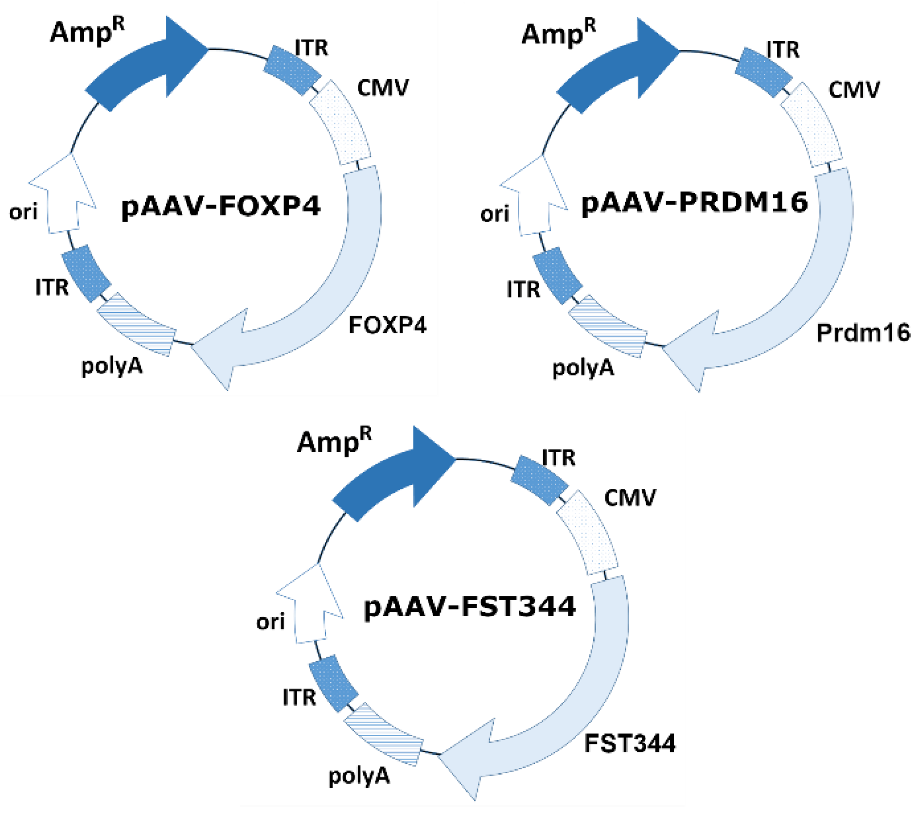 Preprints 122027 g001