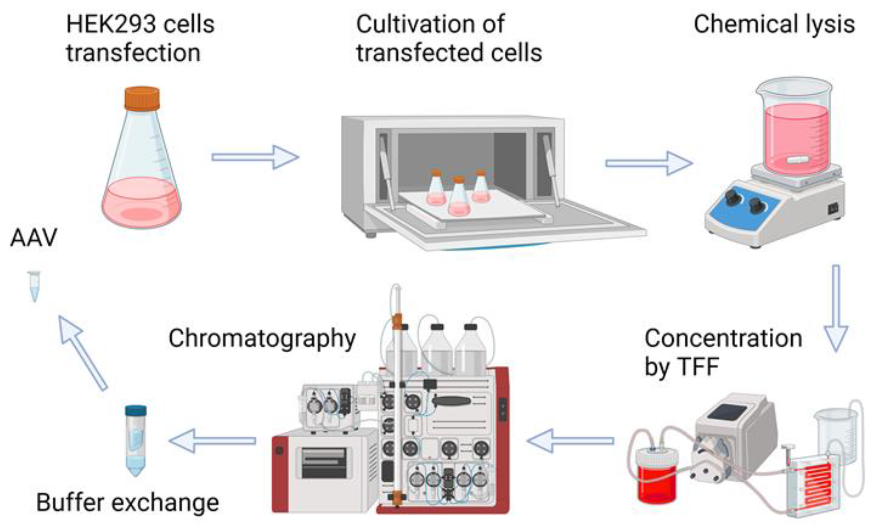 Preprints 122027 g002