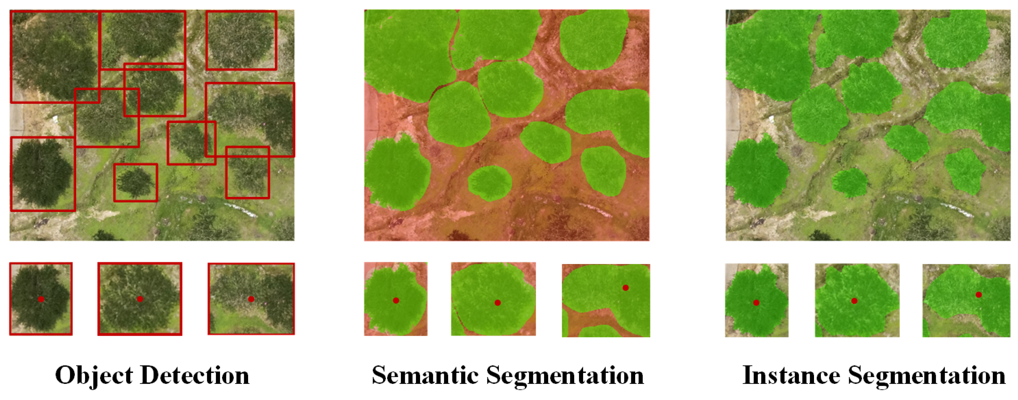 Preprints 118130 g002