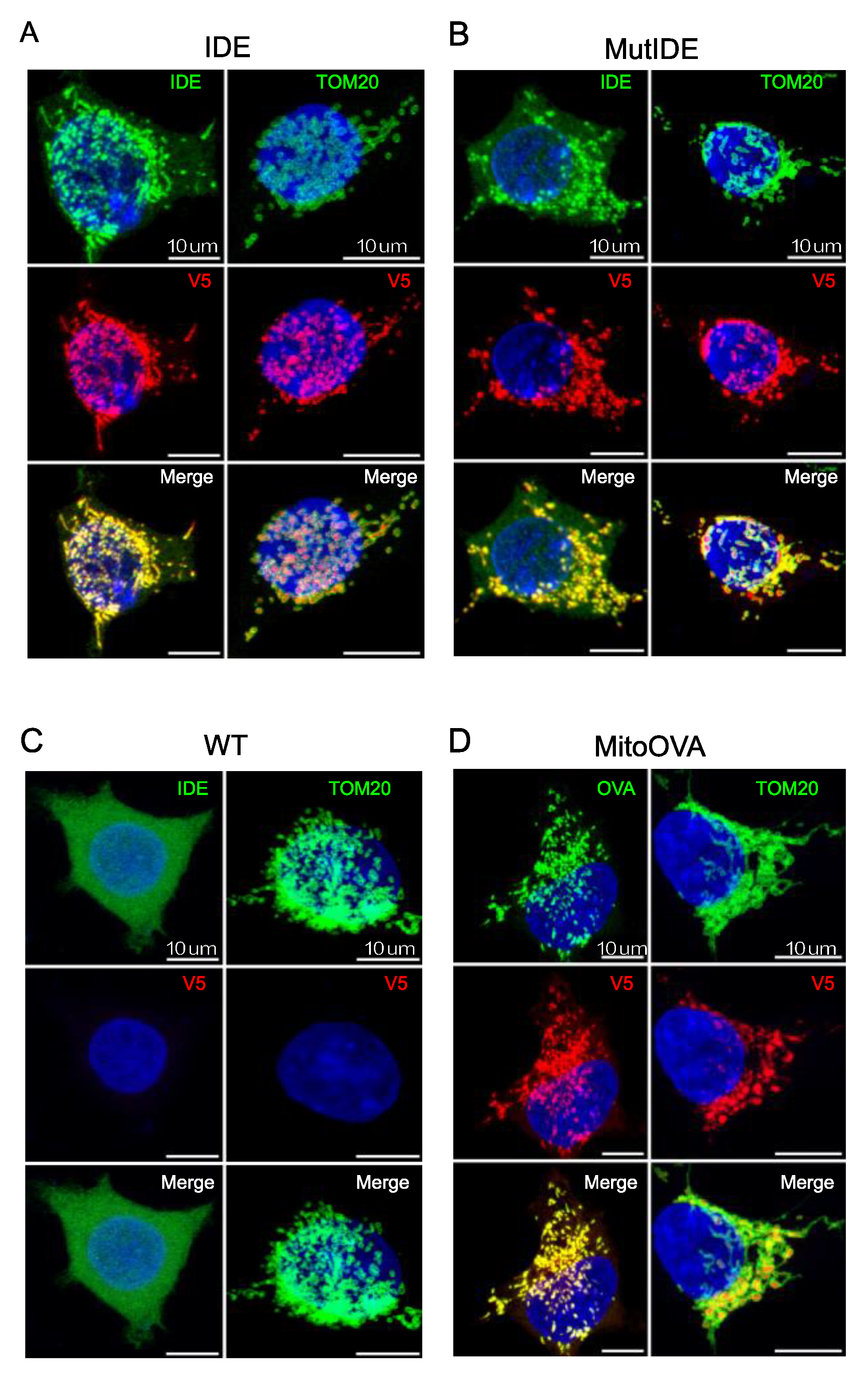 Preprints 71858 g002