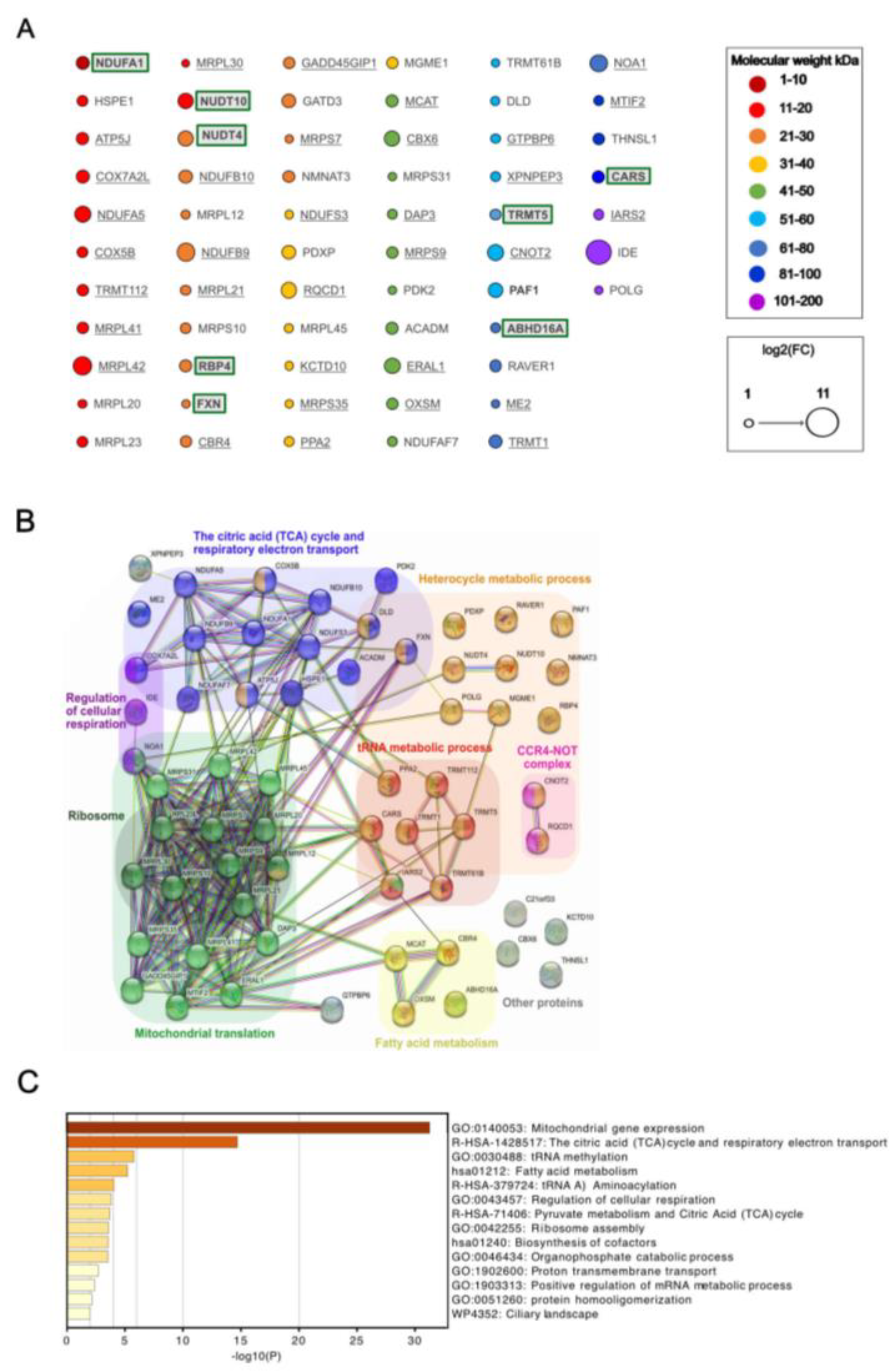 Preprints 71858 g003