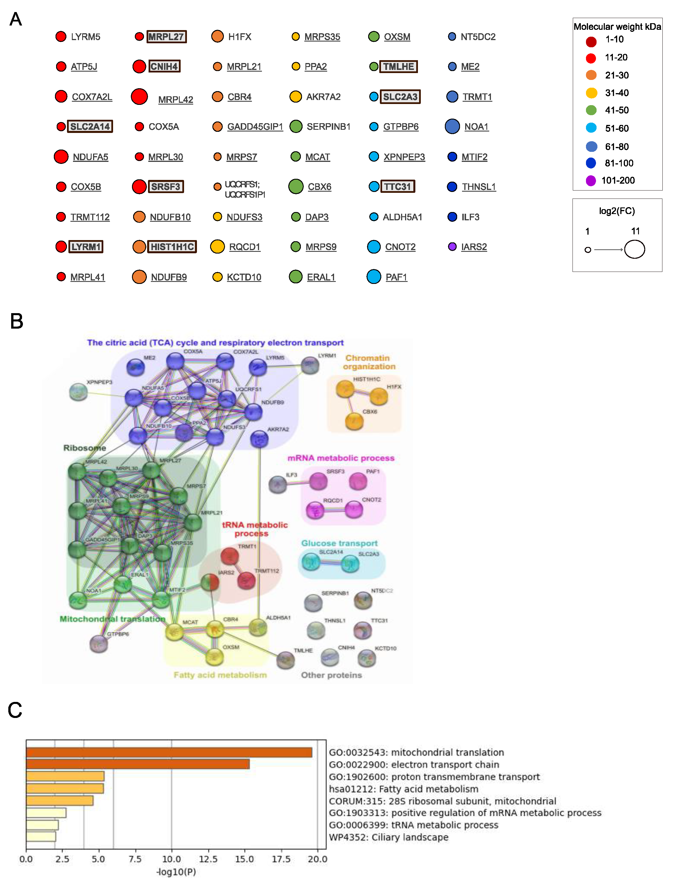 Preprints 71858 g004