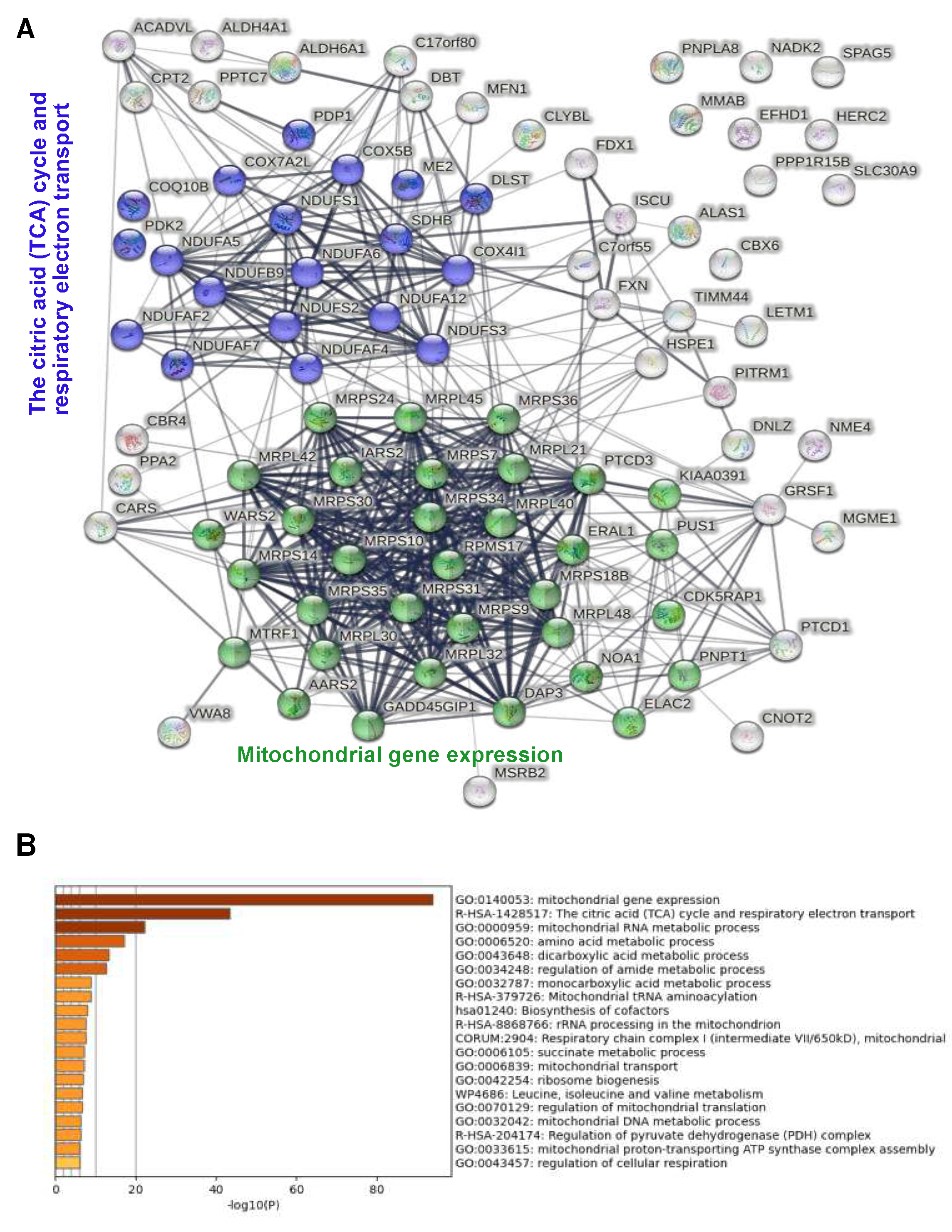 Preprints 71858 g005