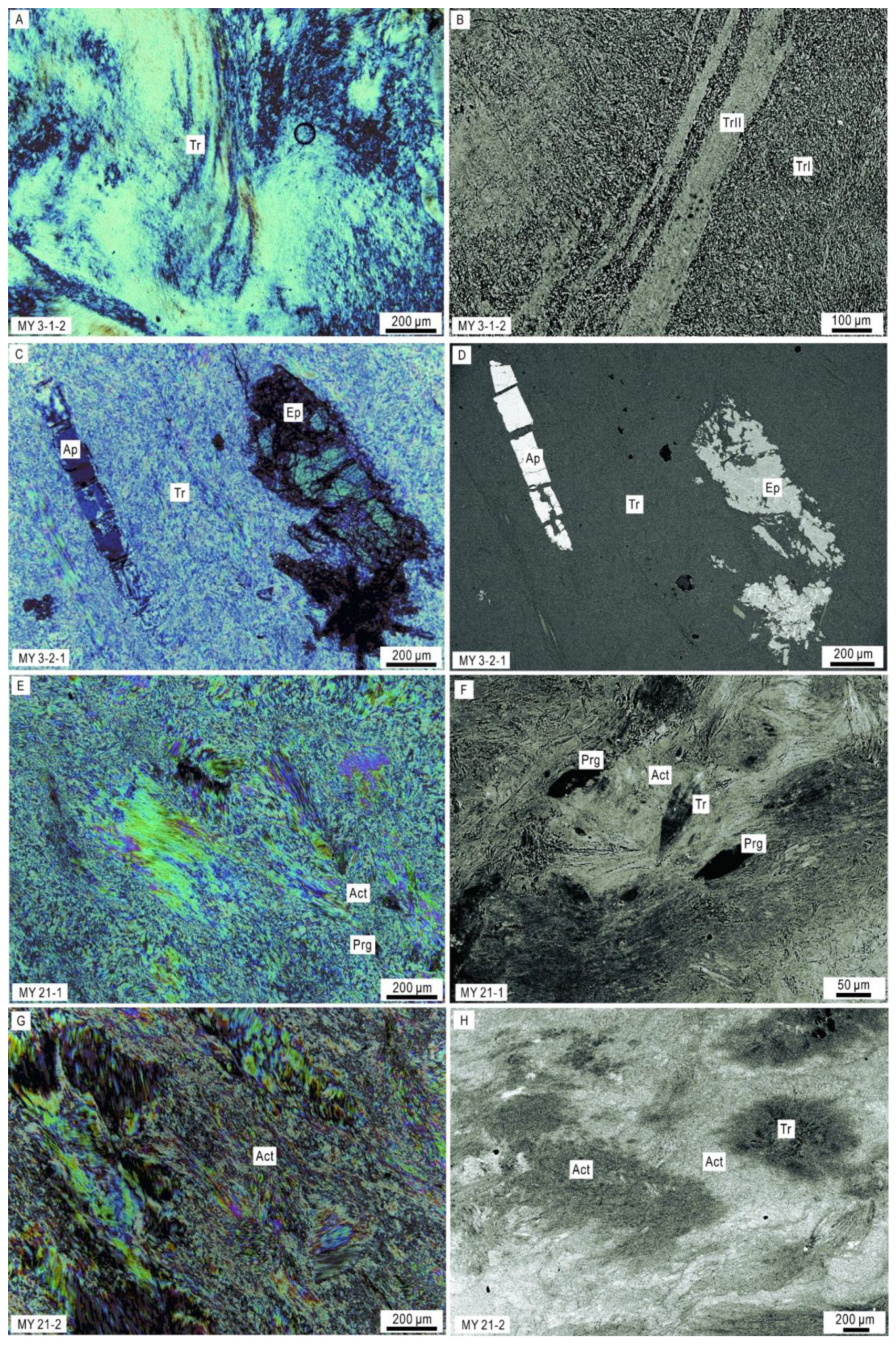 Preprints 98586 g003