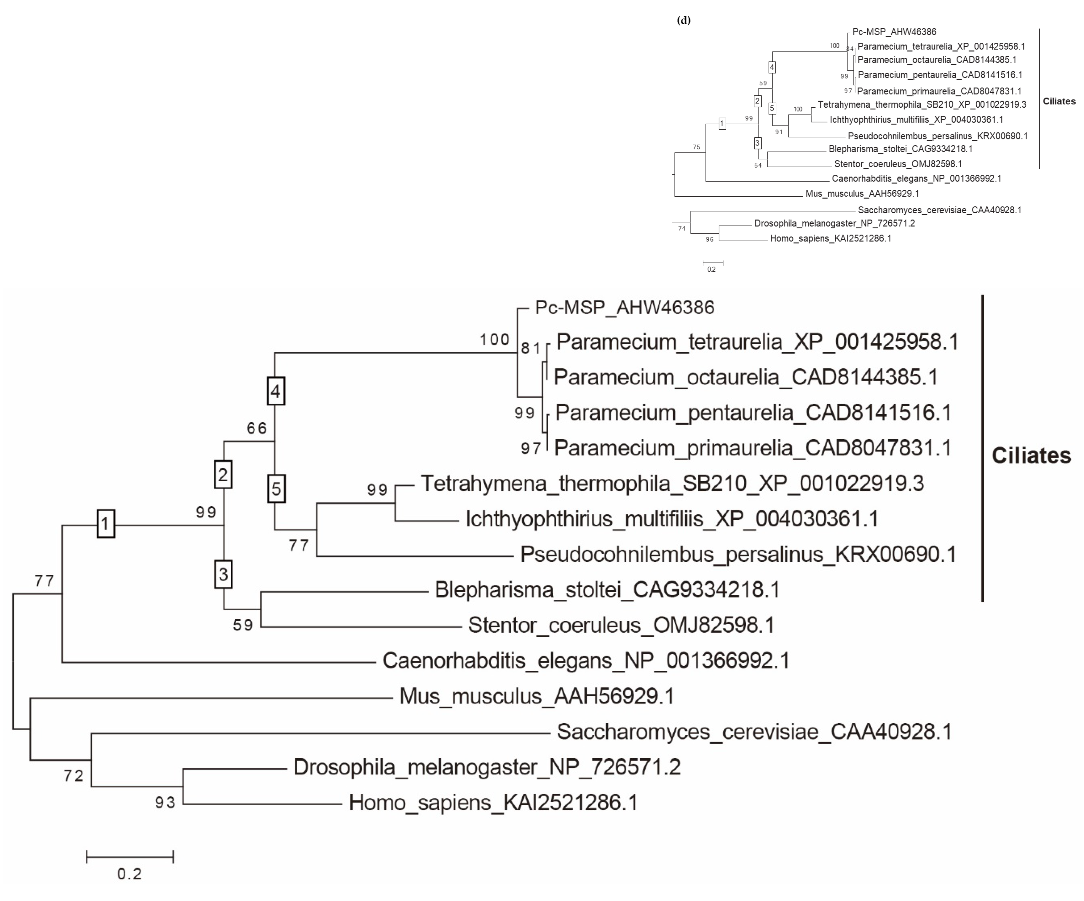 Preprints 100014 g001c