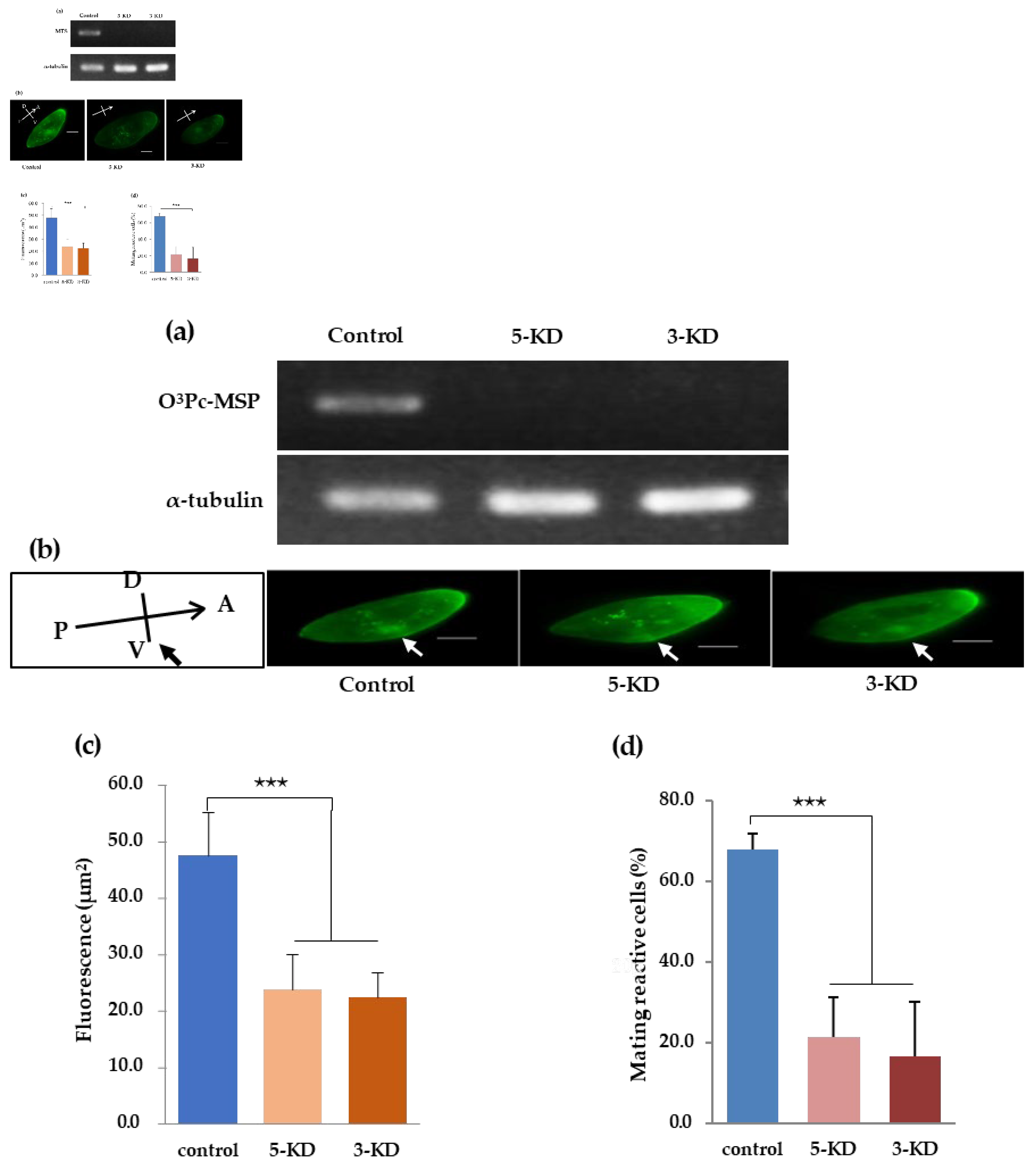 Preprints 100014 g007