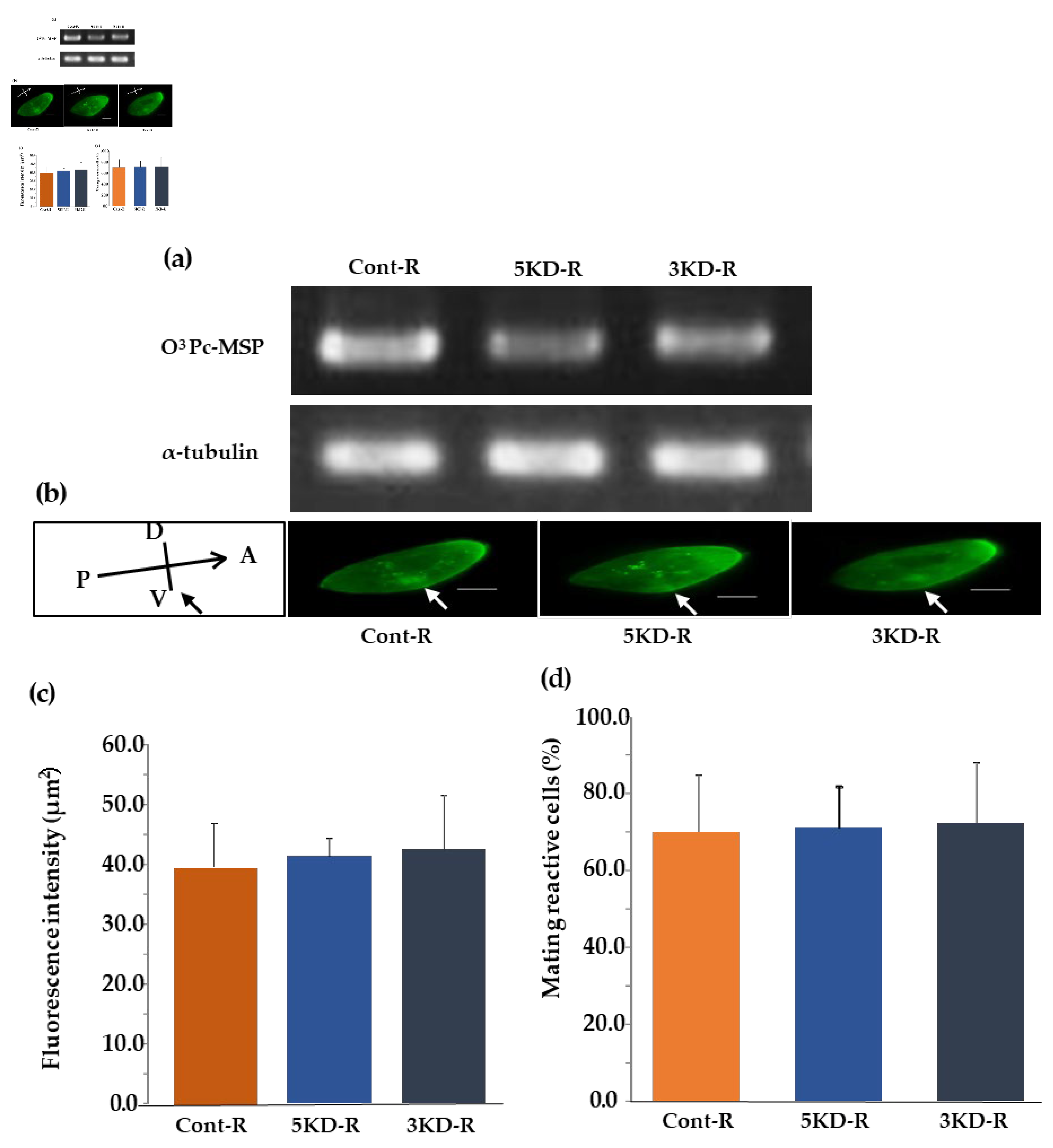 Preprints 100014 g008