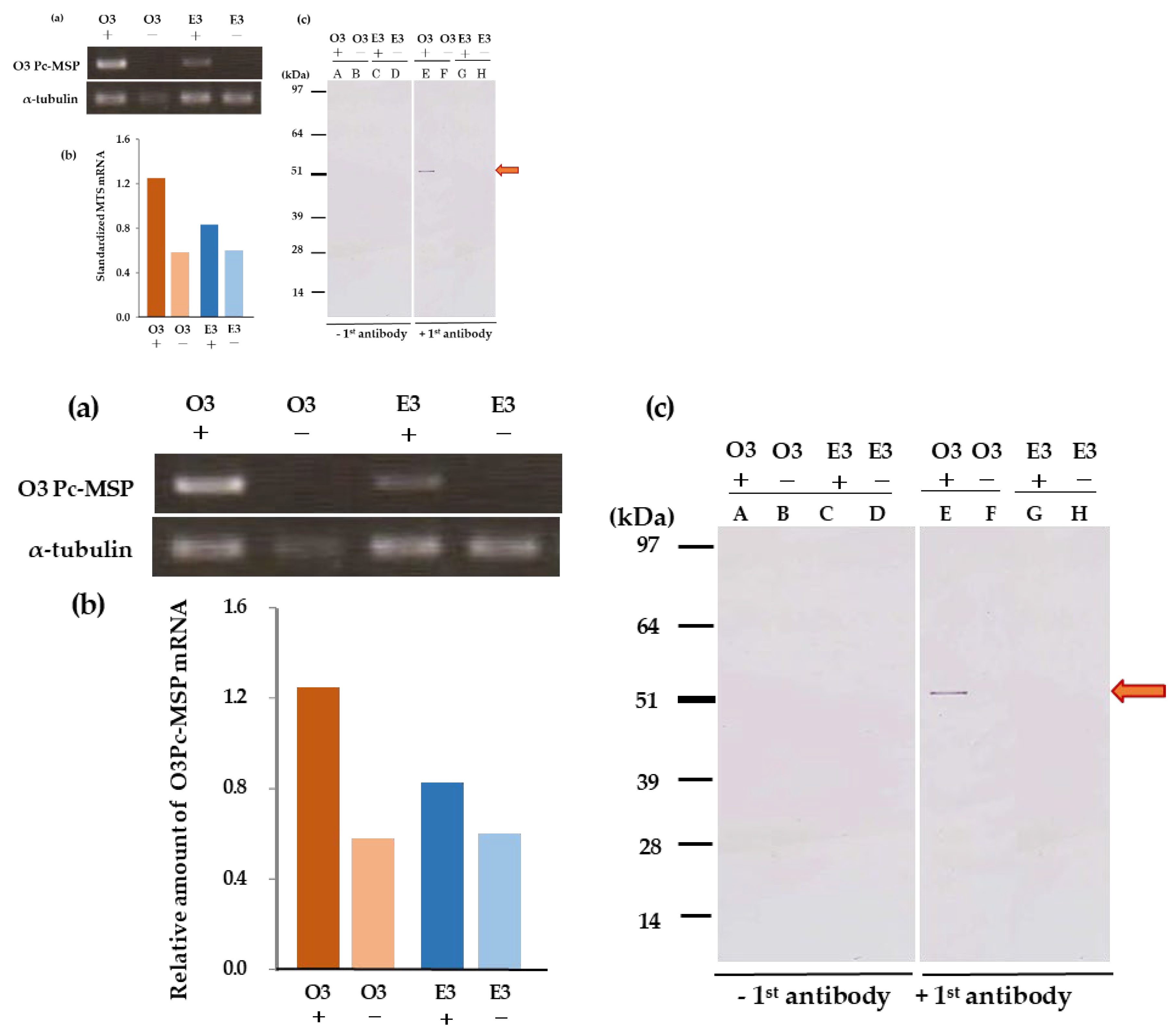 Preprints 100014 g009