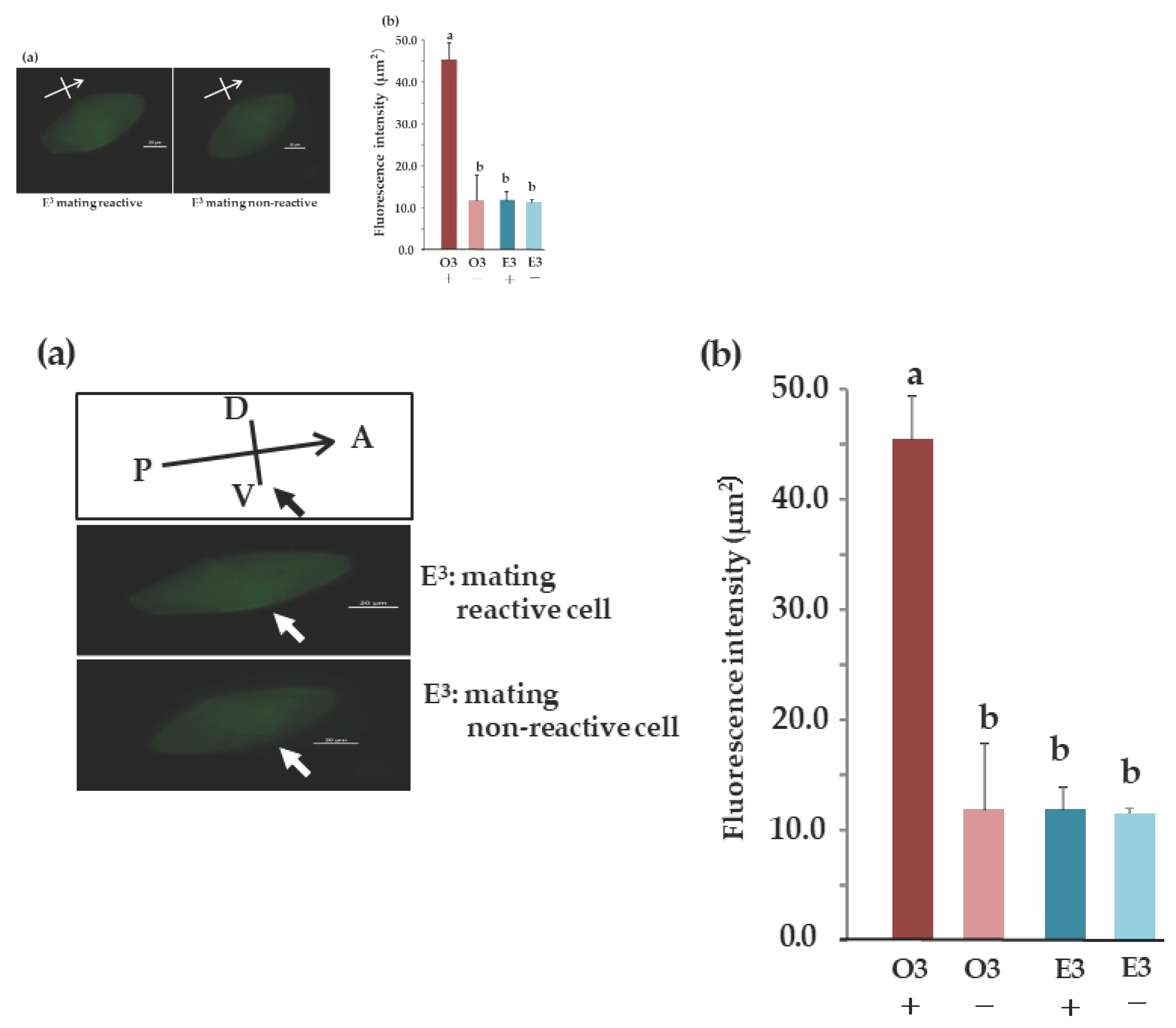 Preprints 100014 g010