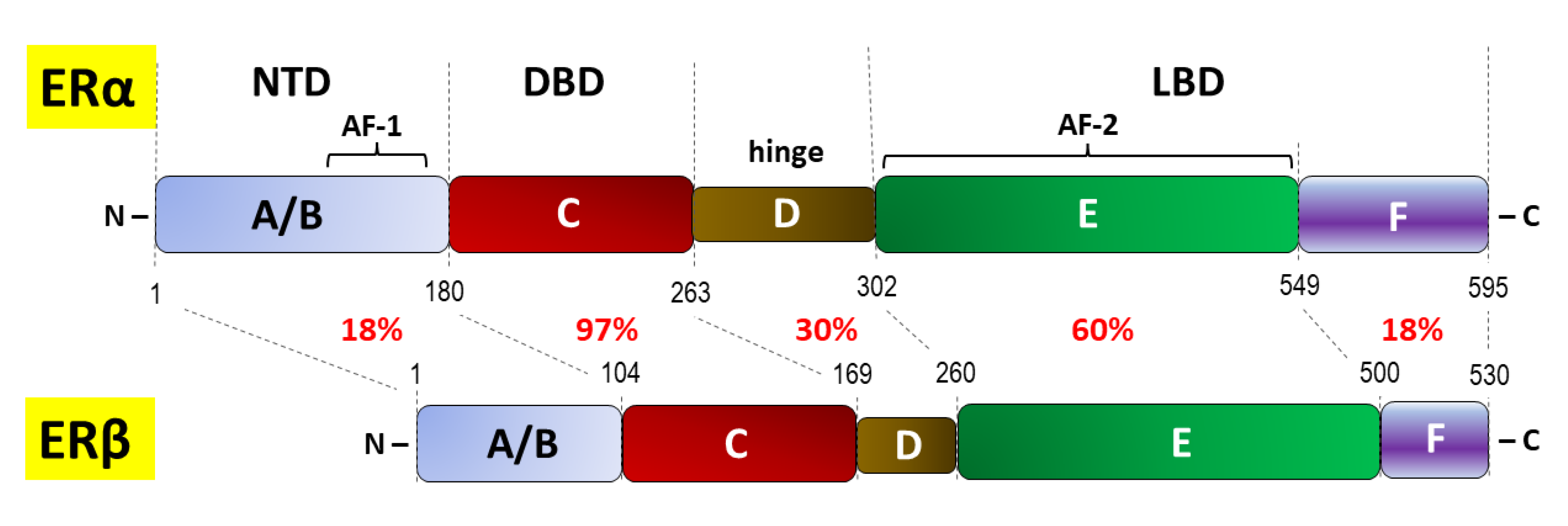 Preprints 78076 g001