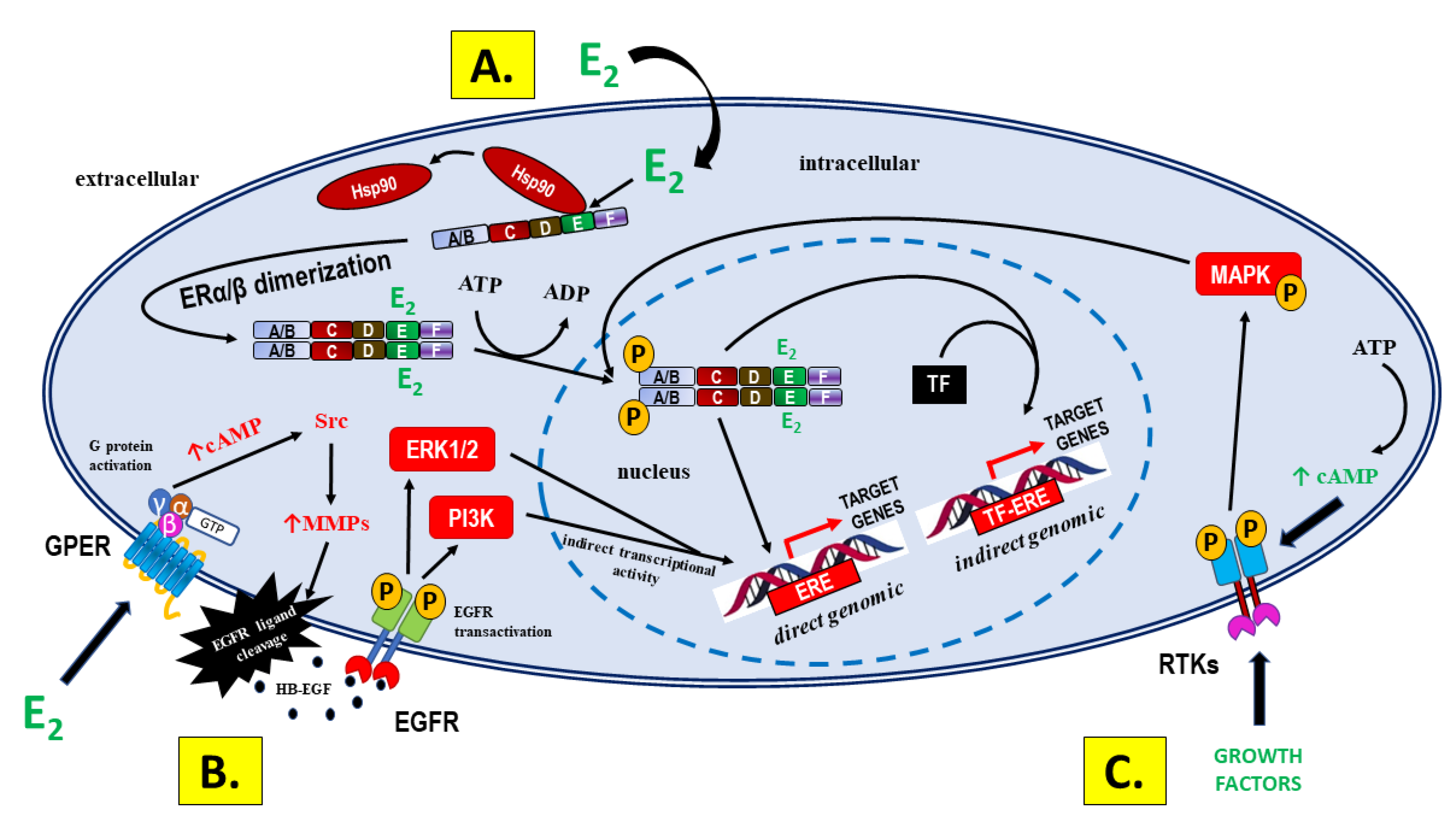 Preprints 78076 g002