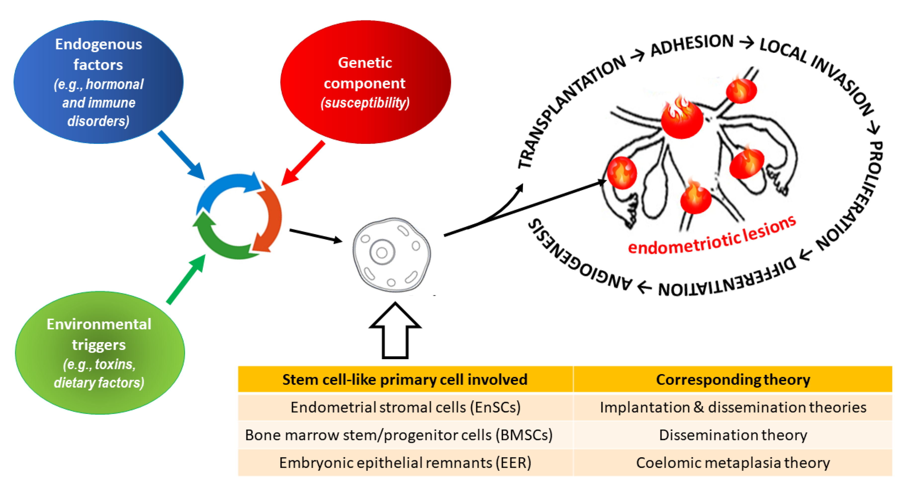 Preprints 78076 g003