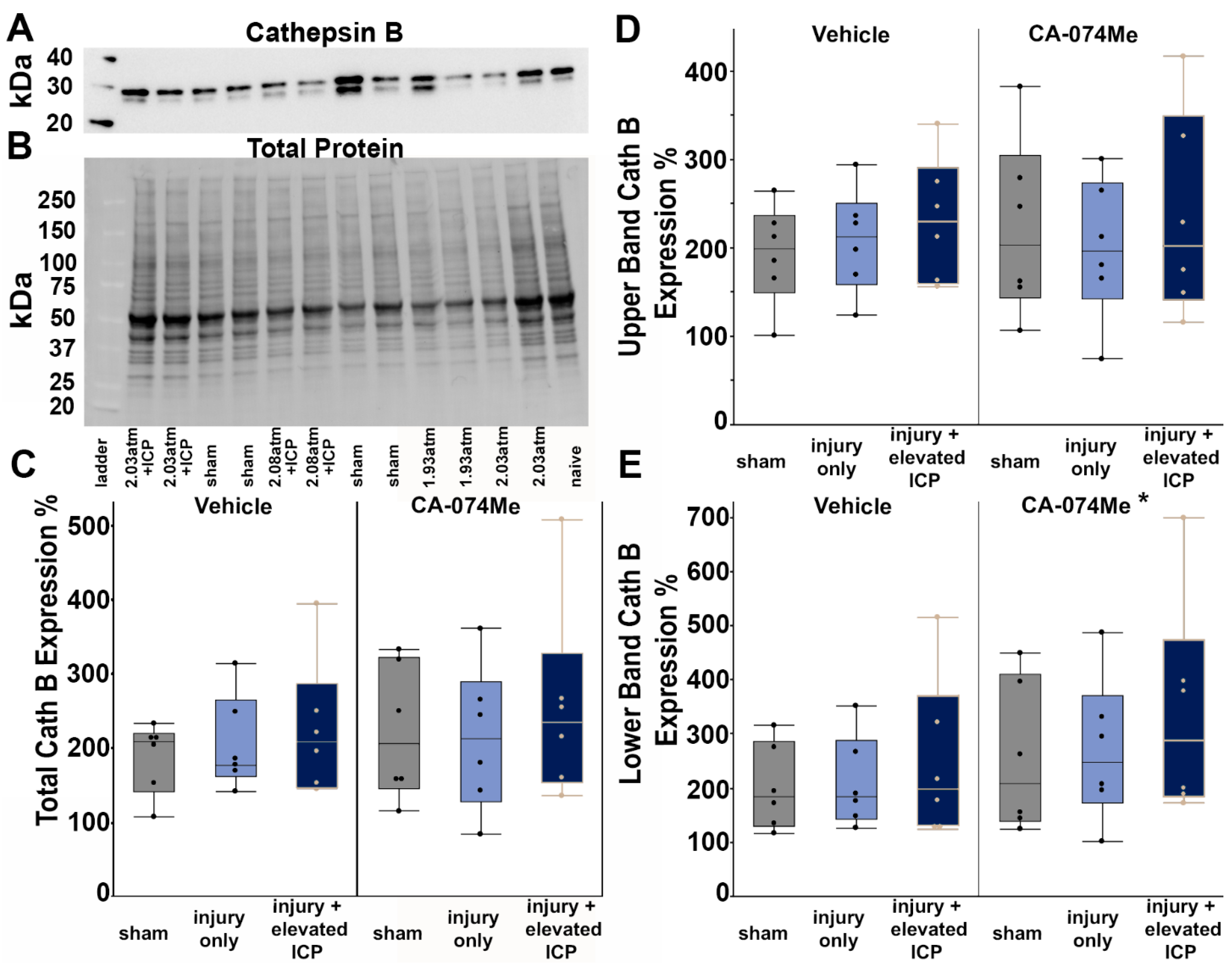 Preprints 107422 g002