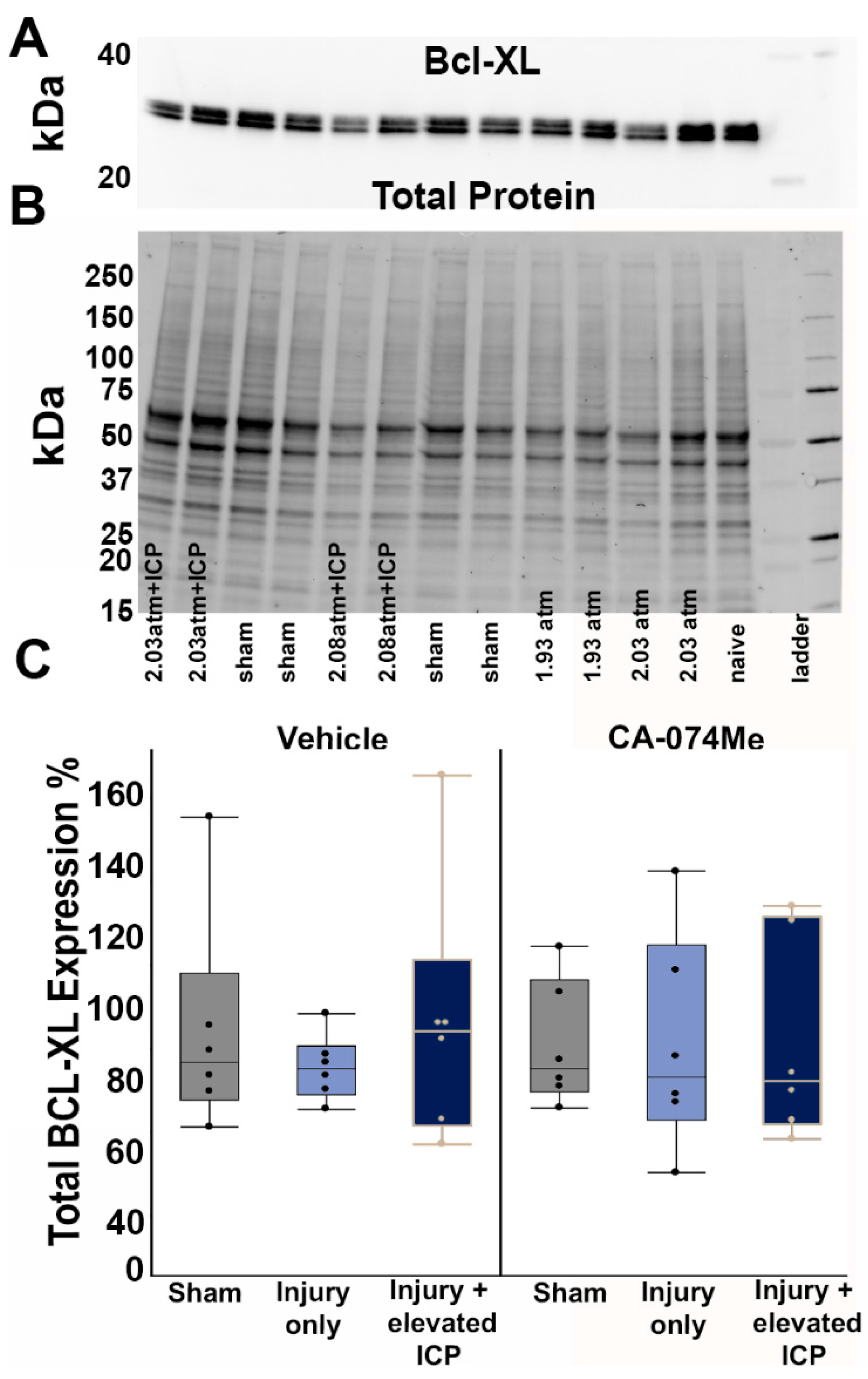 Preprints 107422 g003