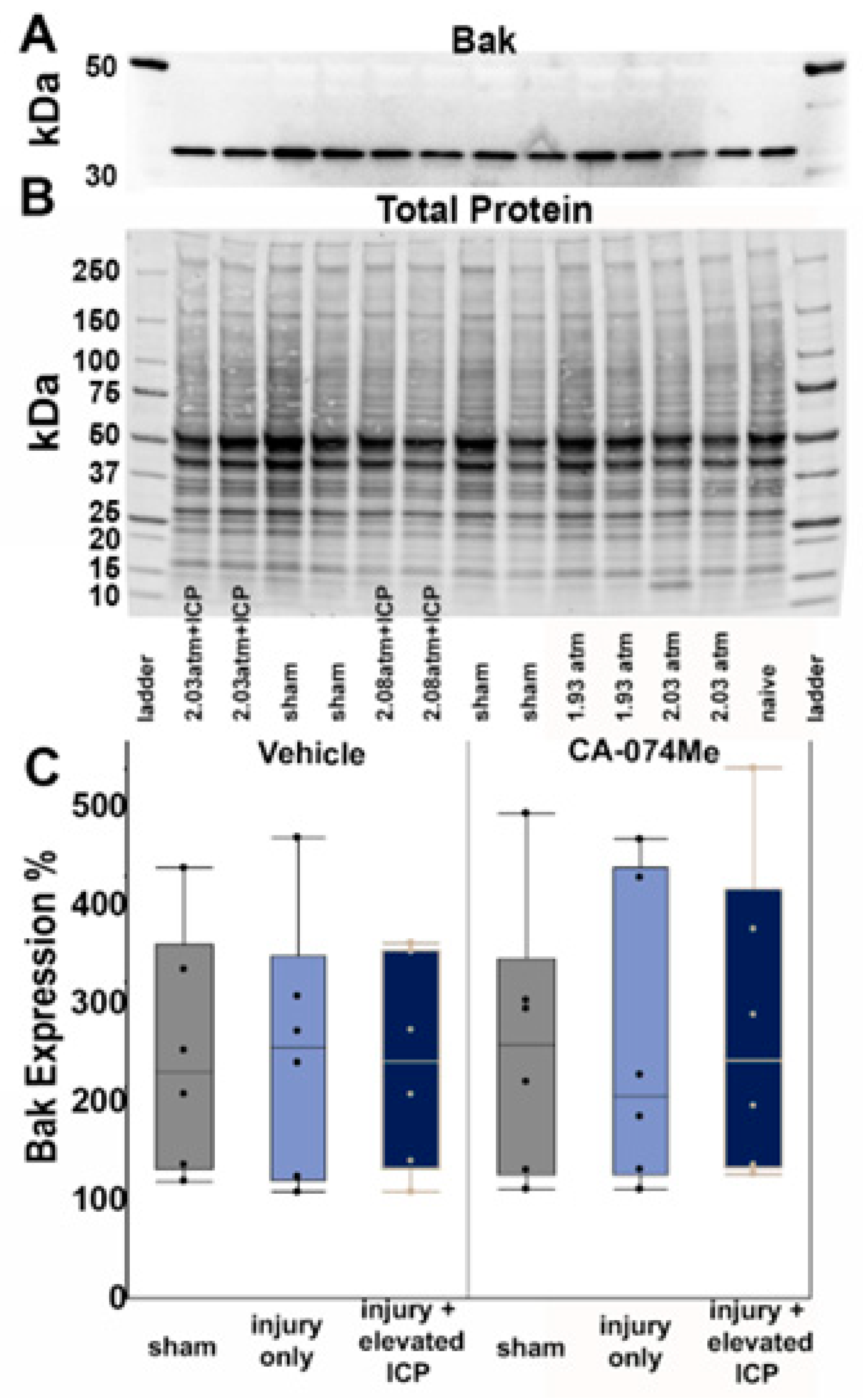 Preprints 107422 g004